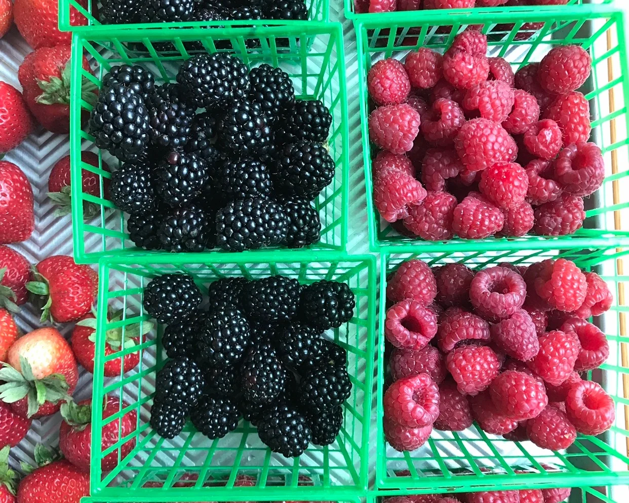 Summer+Berries.jpg