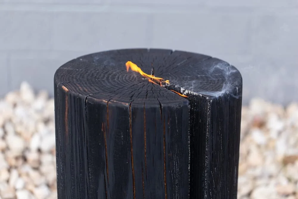 Hono Process 2019_345_web.jpg