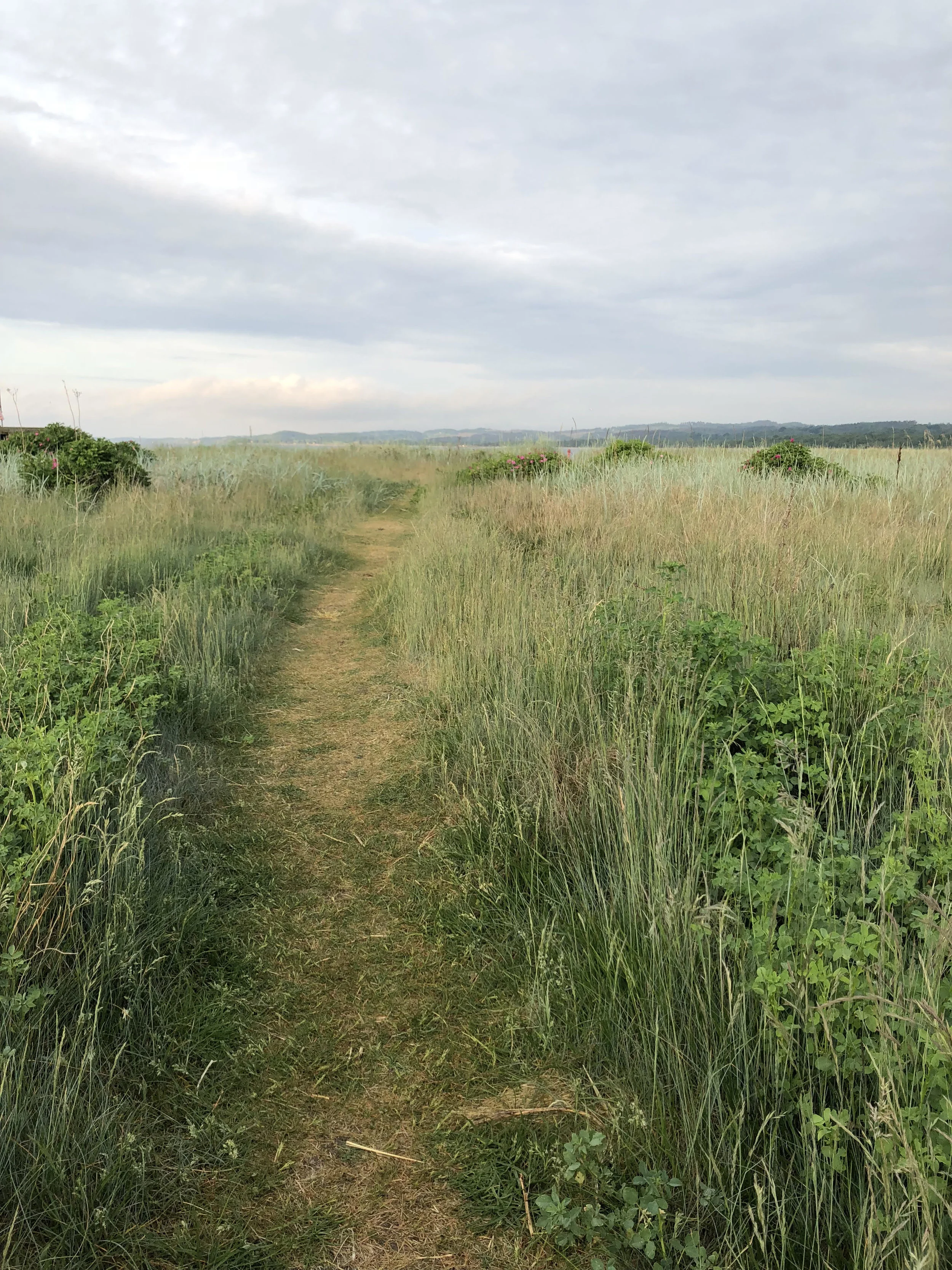 Early morning walk along the coast. Ebeltoft, Denmark.