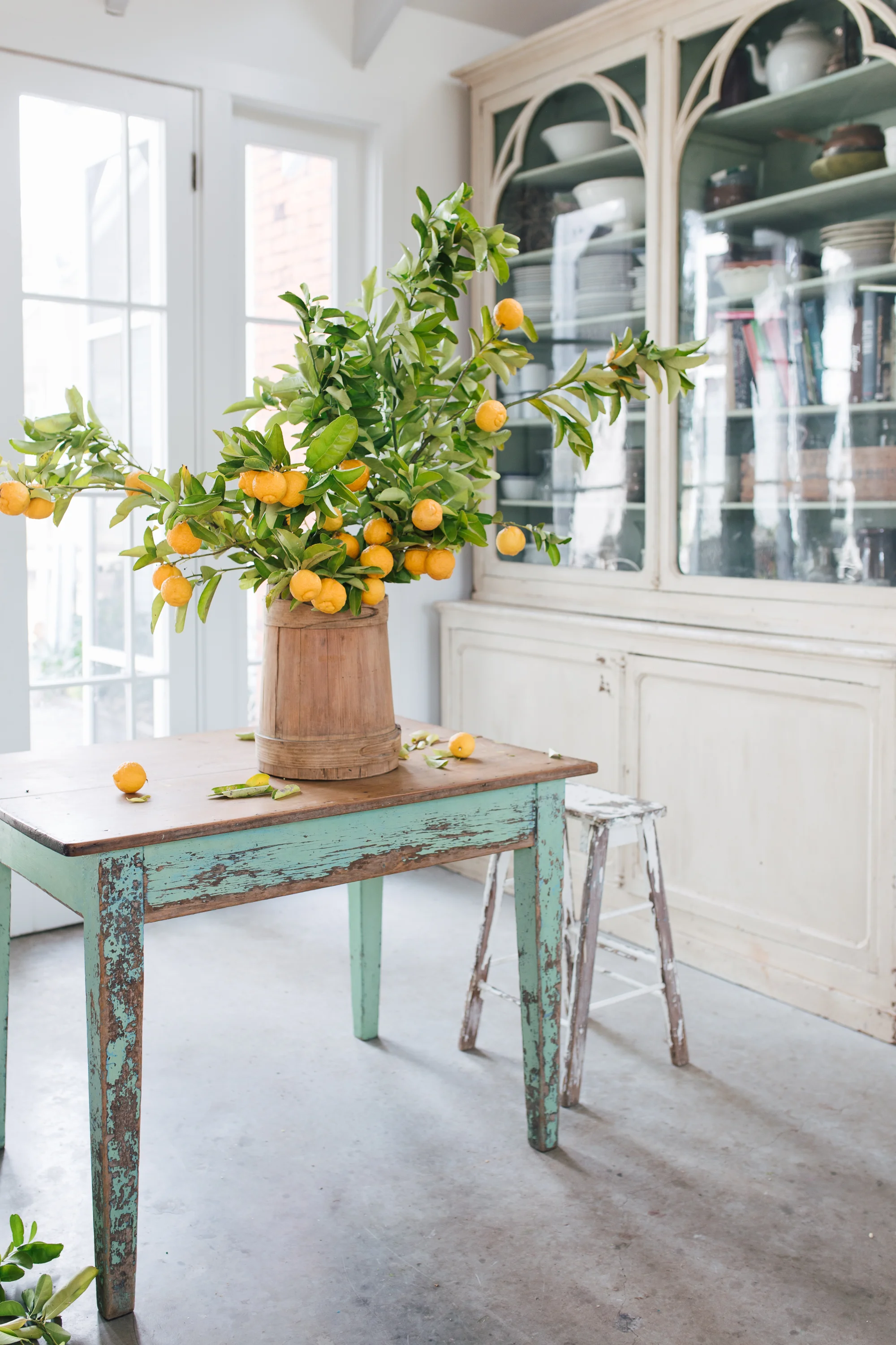 Bush lemons