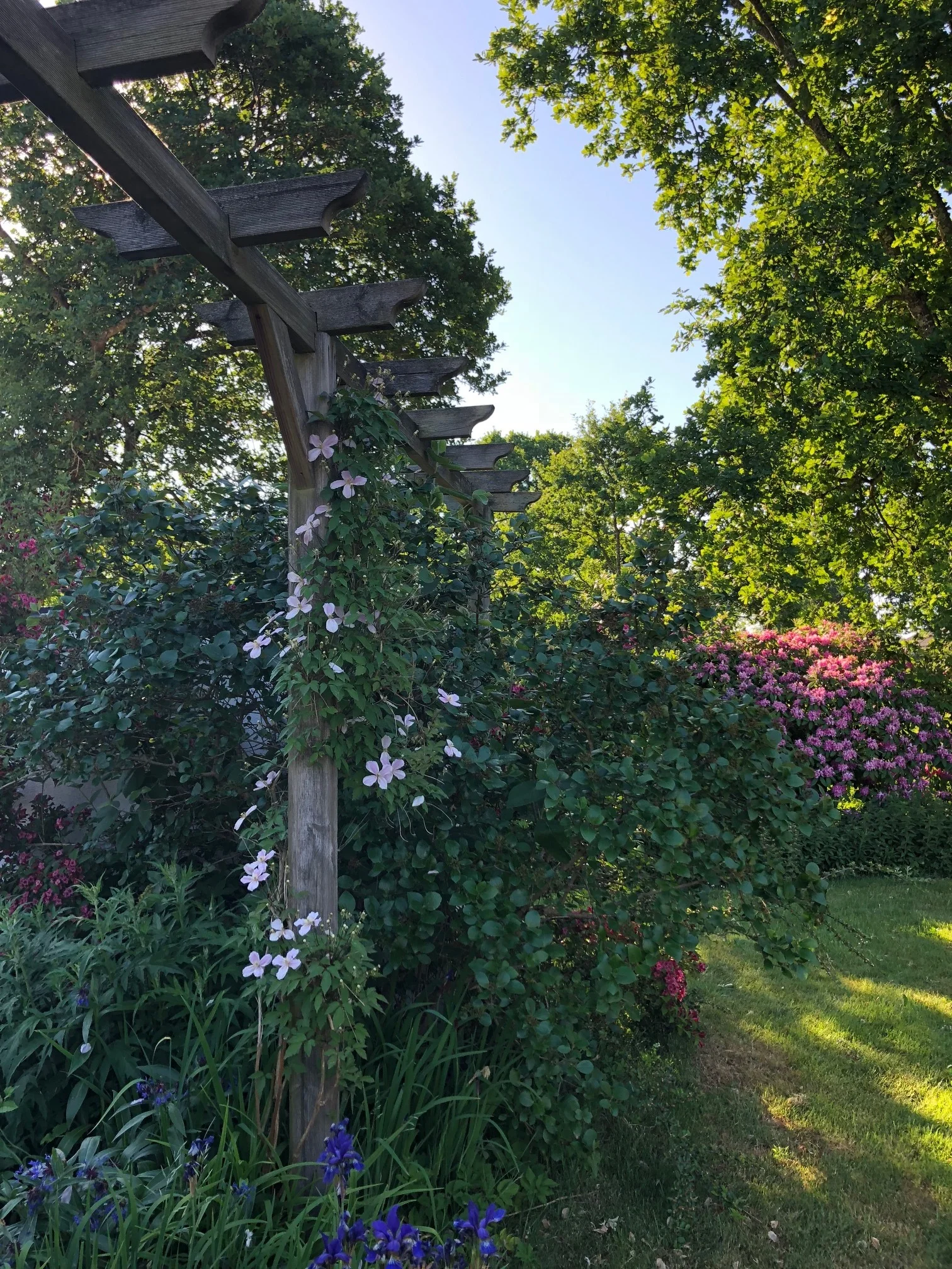 The garden is alive with flowers, birds and insects. Arild, Sweden.
