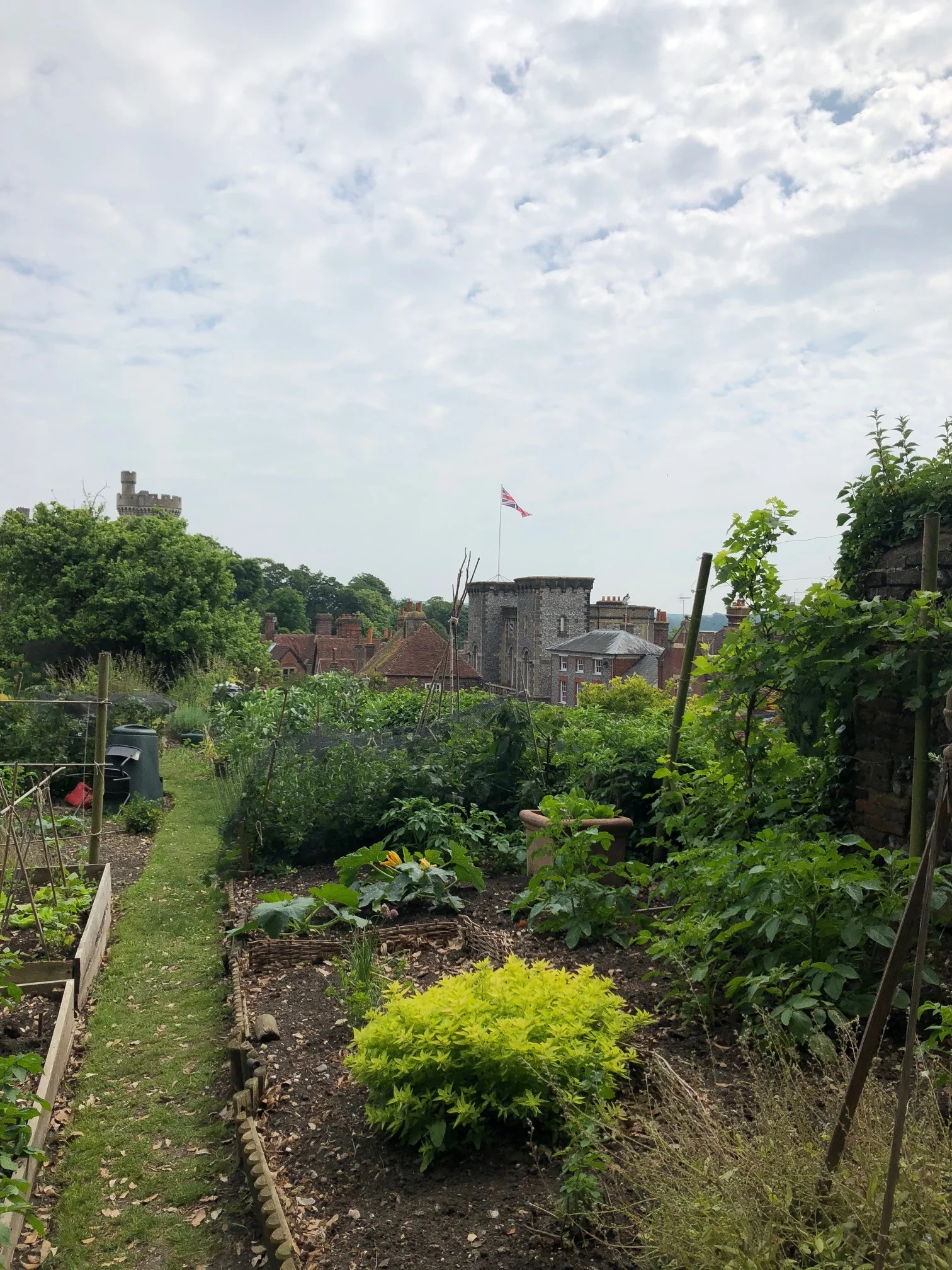 My friend @felicity_lock 's allotment in Arundel. It wins the prettiest allotment with best view award from me.