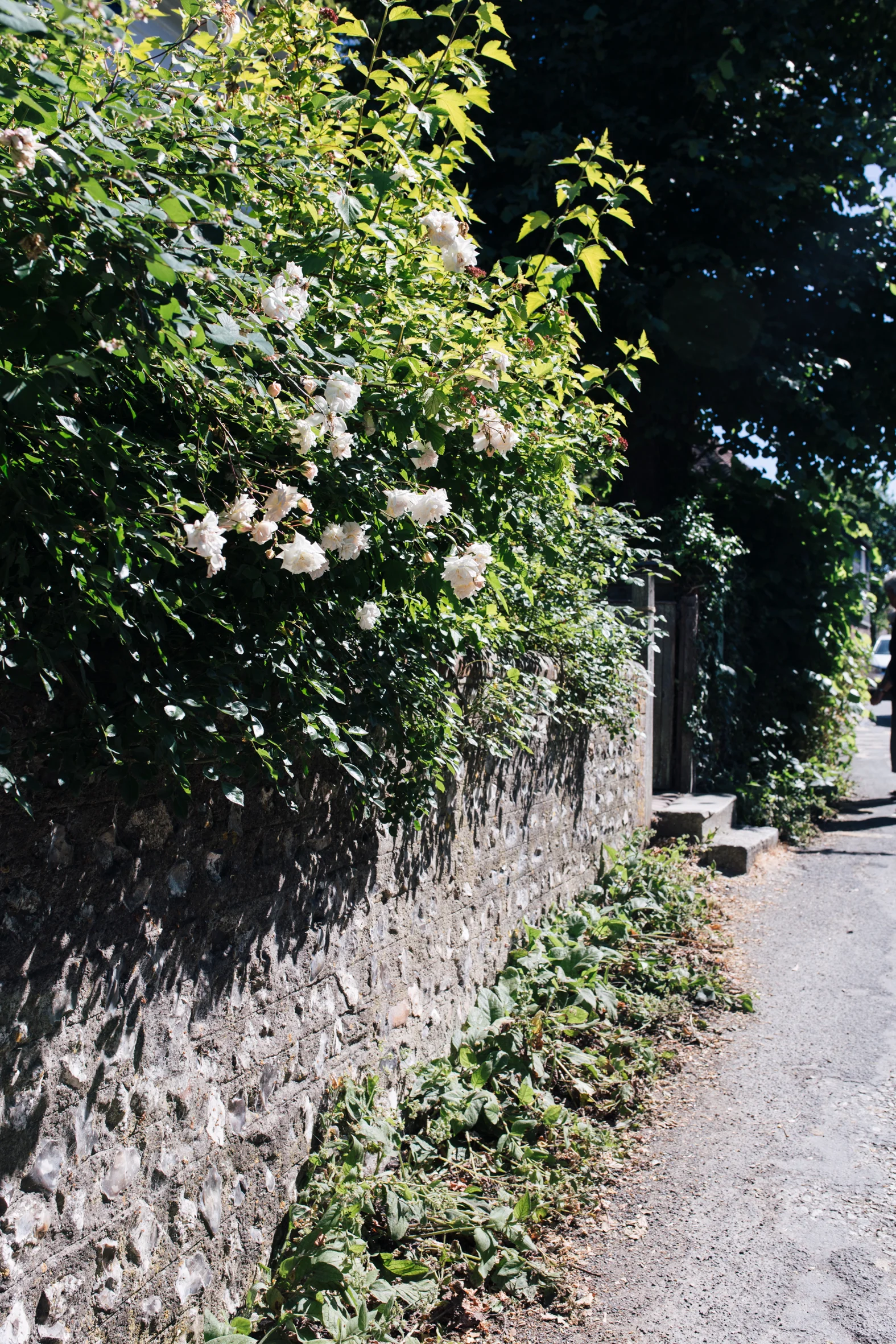 monks house-55.jpg