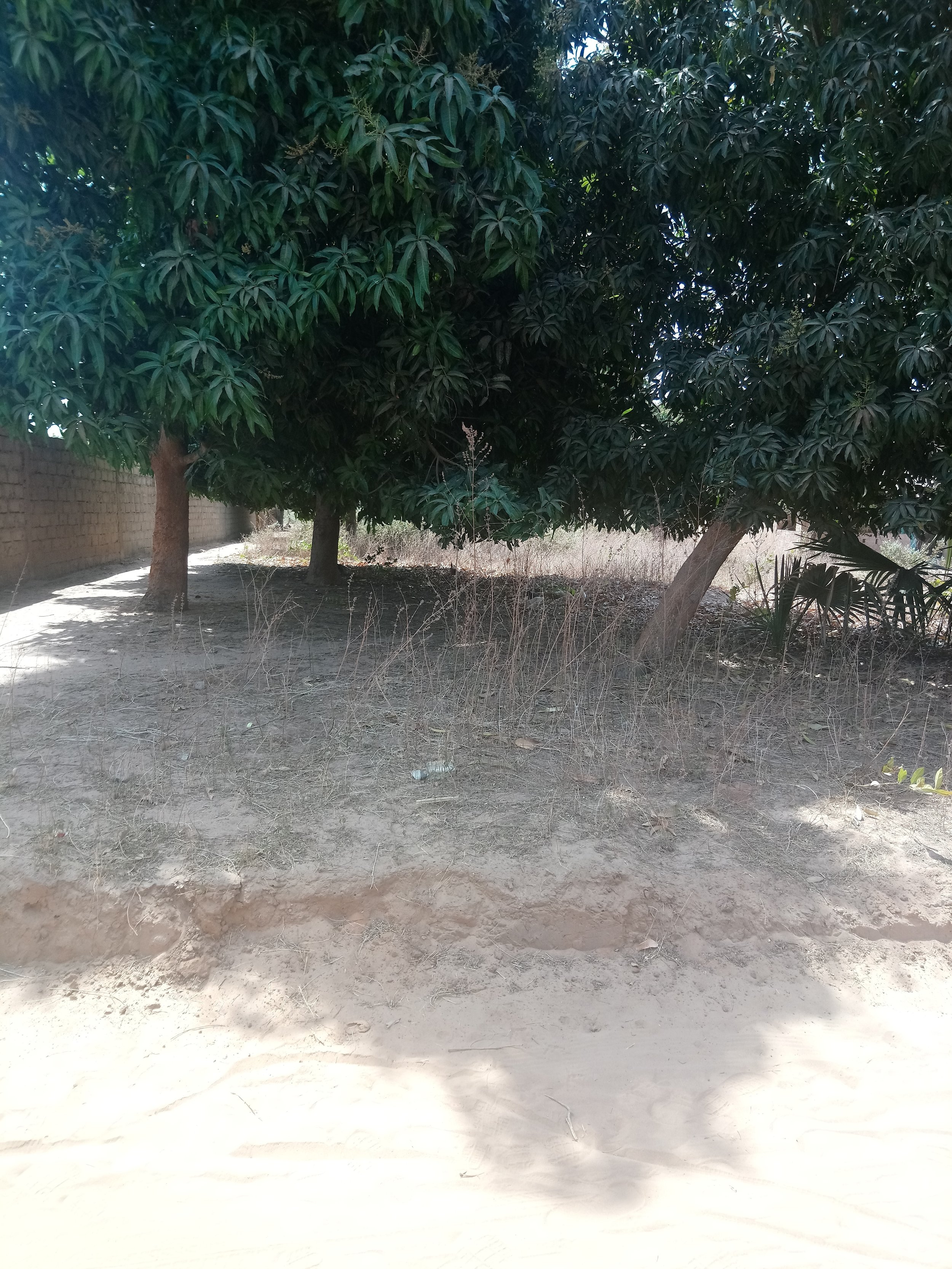 Land for sale in Gambia build a house holiday home DHK Estates