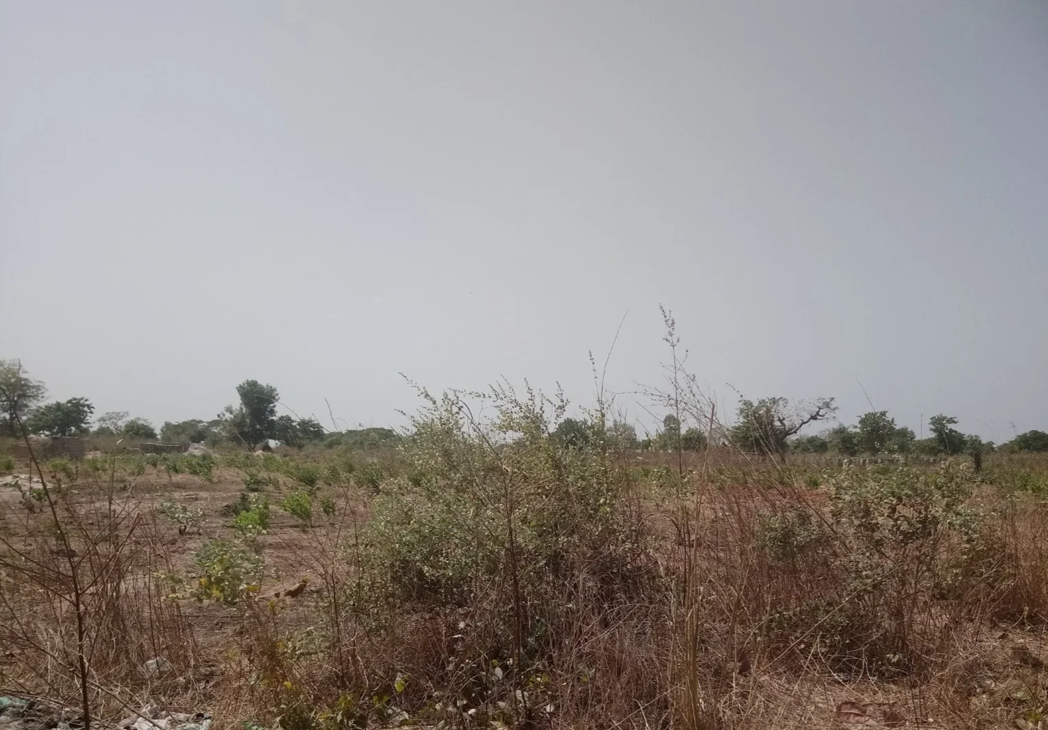 Land for sale in Gambia build a house holiday home DHK Estates