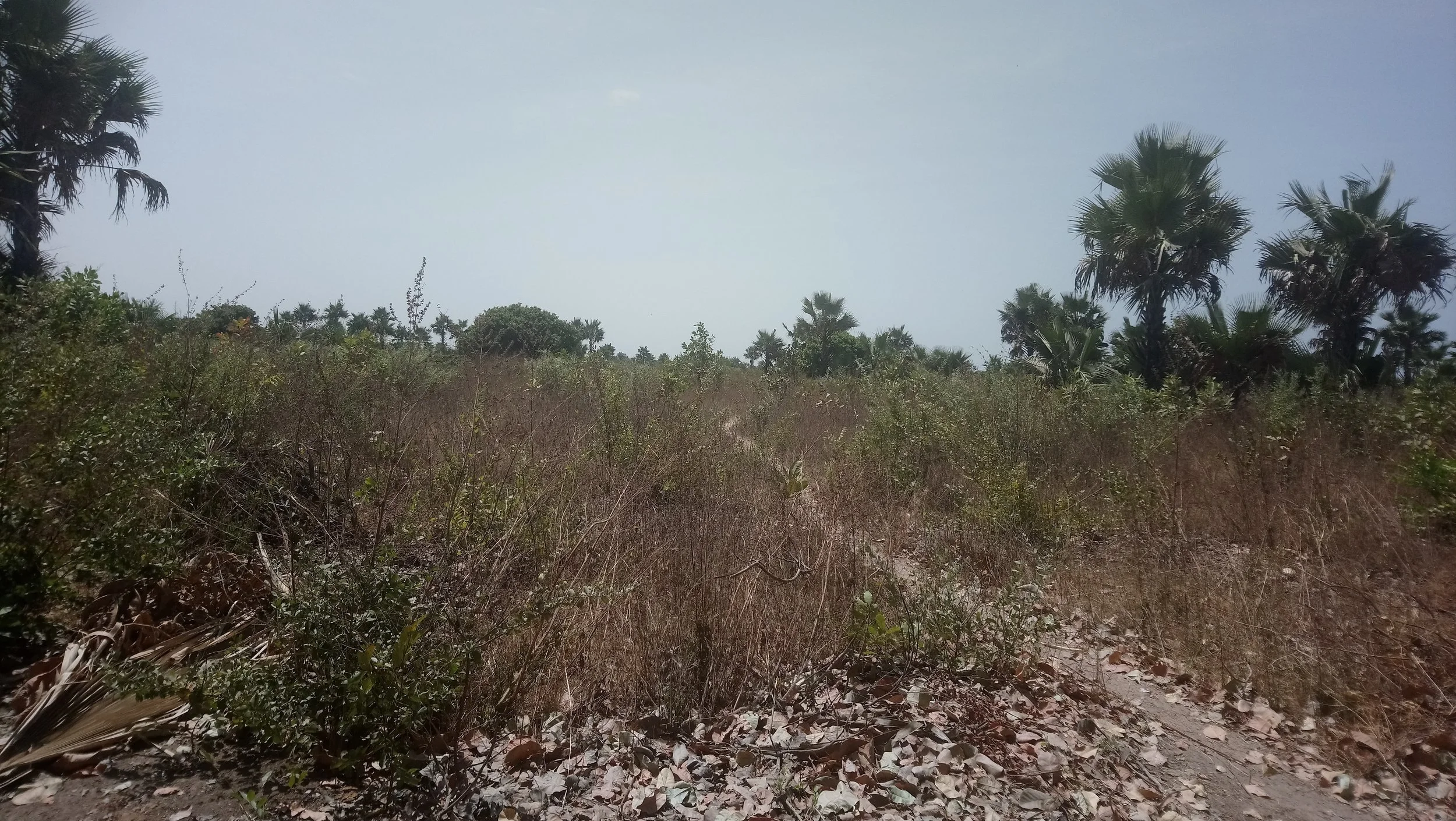 Land for sale in Gambia build a house holiday home DHK Estates