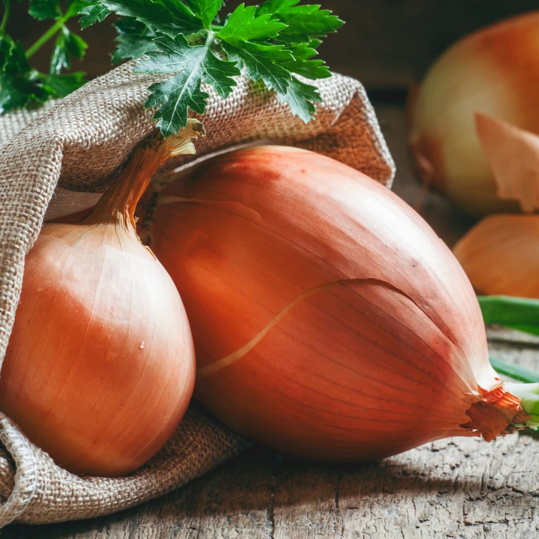 YELLOW ONIONS