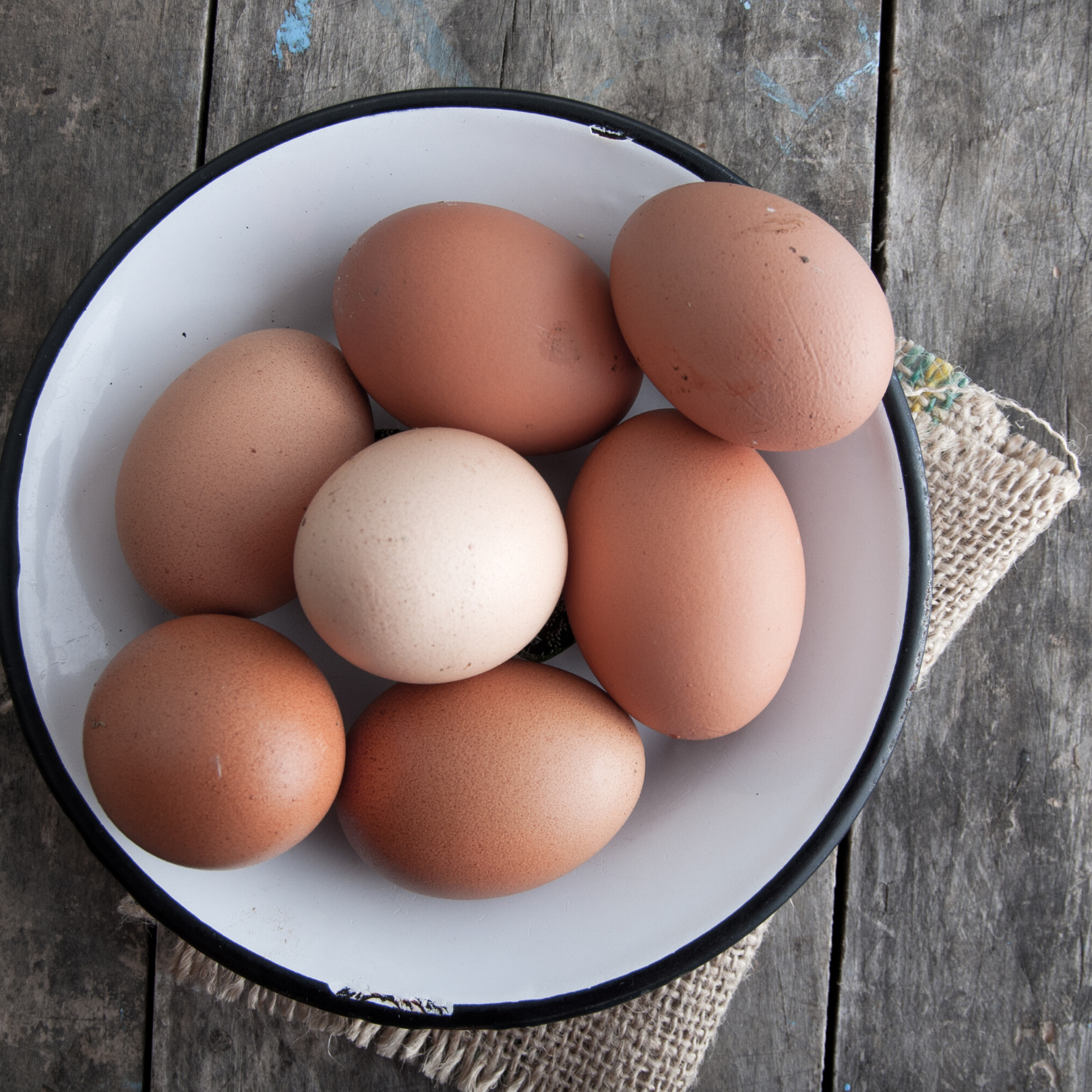 EGGS