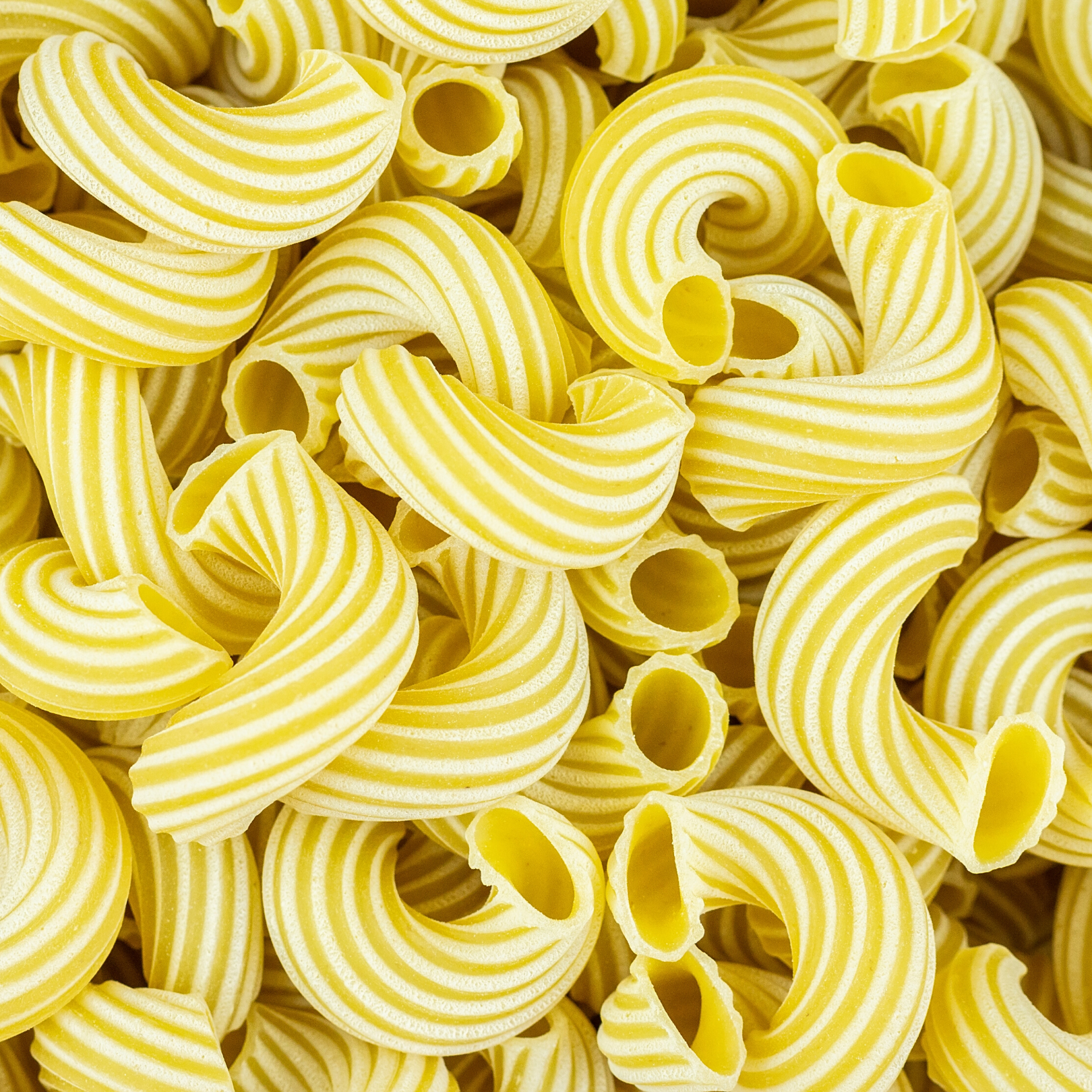 CAVATAPPI PASTA
