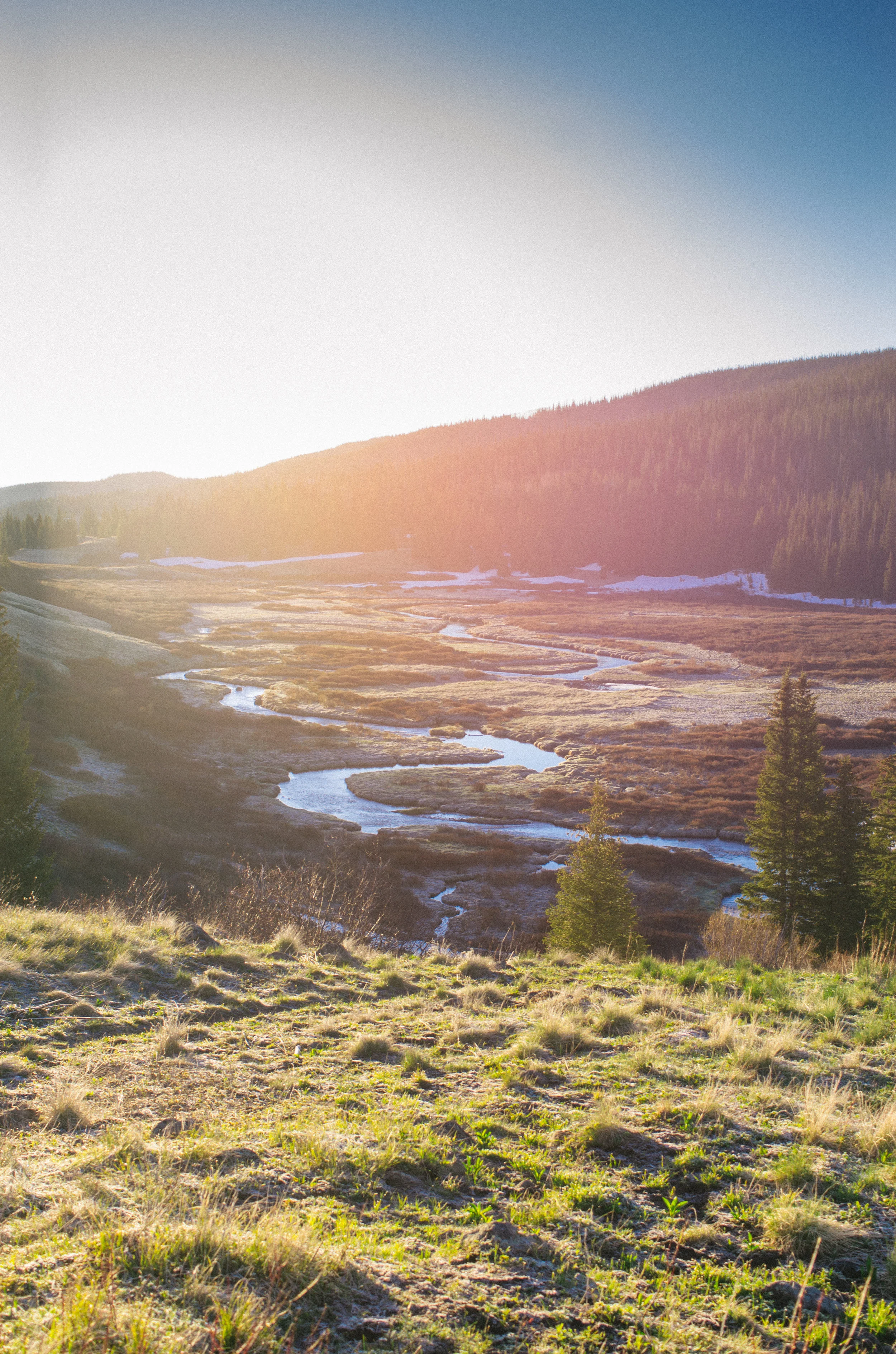 sun flare creek.jpg