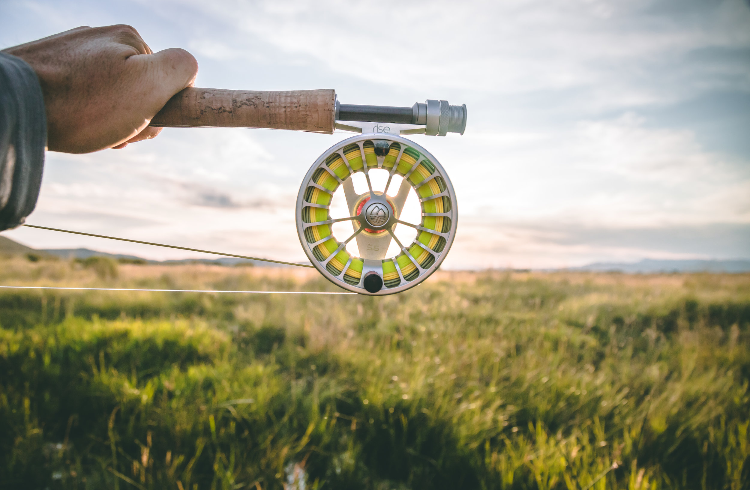 Rise Reel at Sunset.jpg