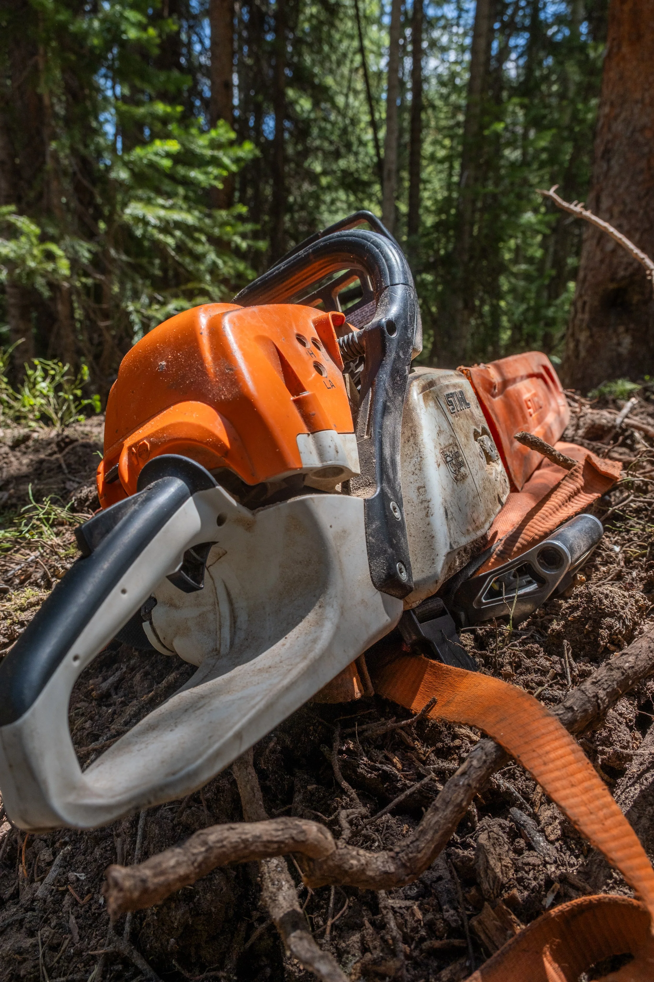 Chainsaw Bike Park_.jpg