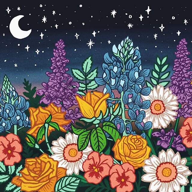 The stars at night are big and bright,
Deep in the heart of Texas 🎶

Playing around with all the floral references from all the songs my mom has been singing to Renny.

#art&nbsp;#artist&nbsp;#artwork&nbsp;#illustration&nbsp;#illustracion&nbsp;#ilus