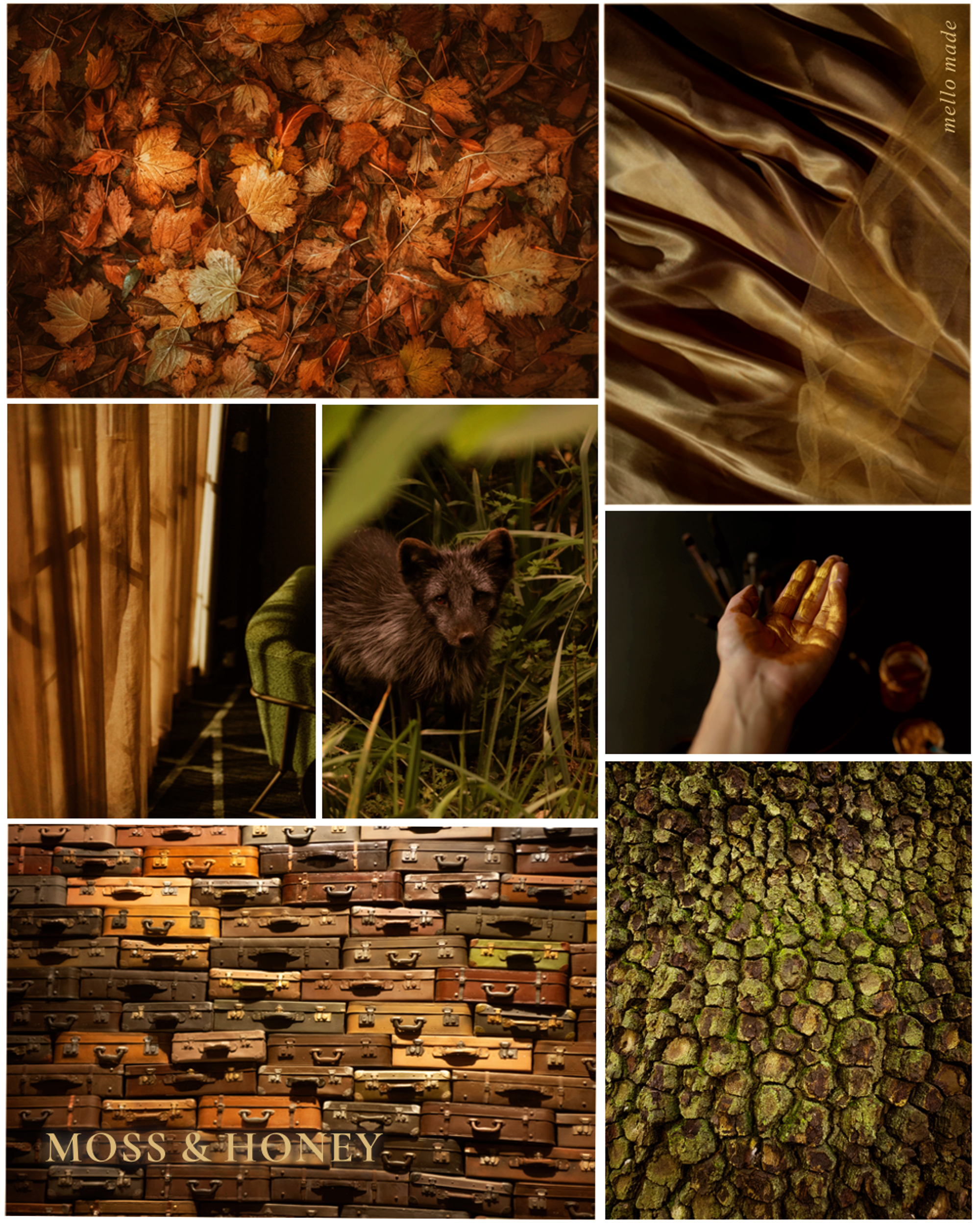 Moss&Honey-Collage_Web.png
