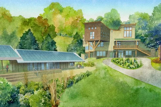 serene buildings among nature
