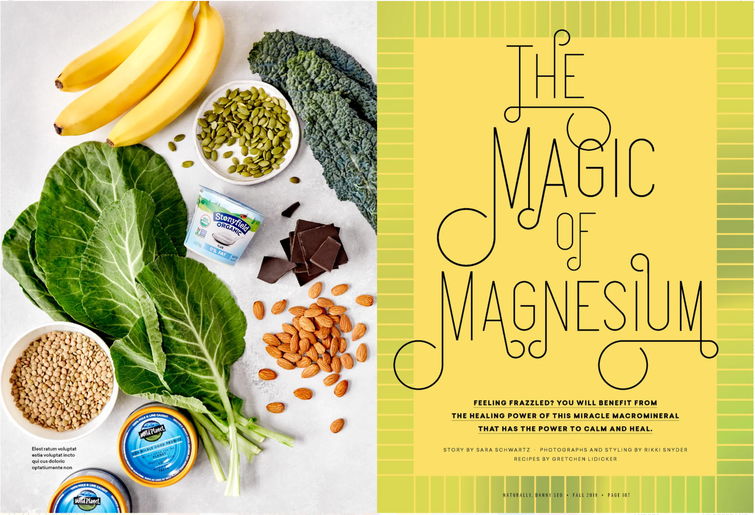 A flat lay of healthy foods on a light surface, including bananas, kale, pumpkin seeds, chocolate squares, almonds, organic yogurt, lentils, and two jars of coconut oil. The right side features a yellow background with black text about the healing po