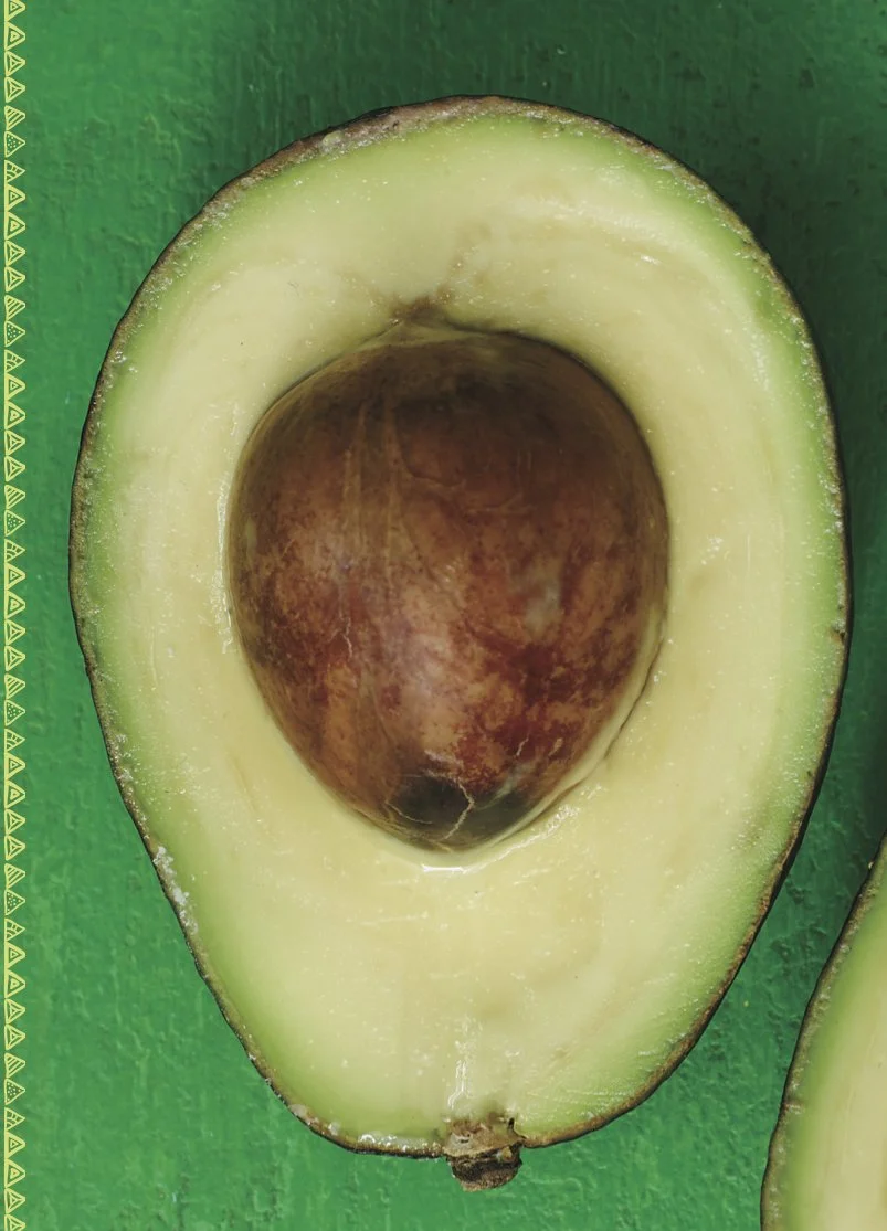 avocado cut in half