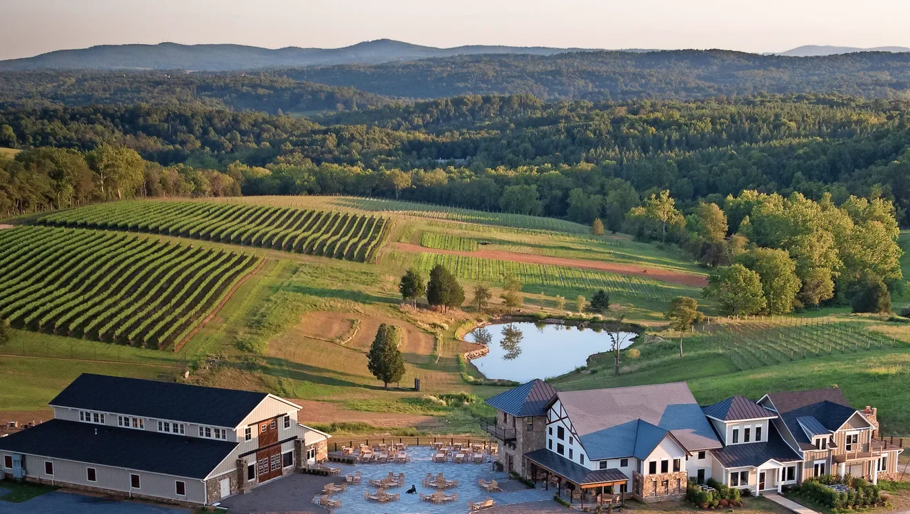 photo of beautiful sprawling vineyard in Virginia