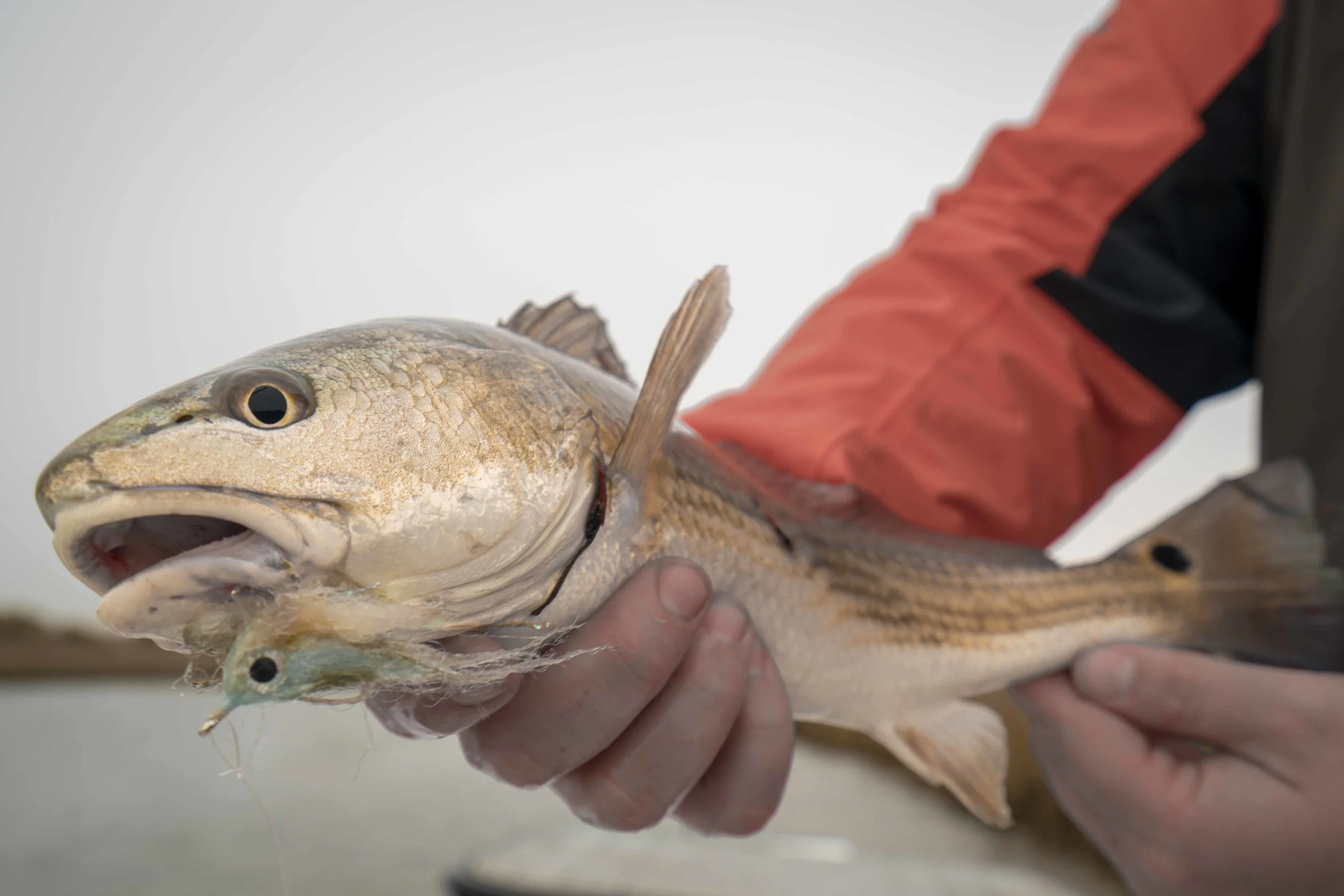 02/22/18 Fishing Report