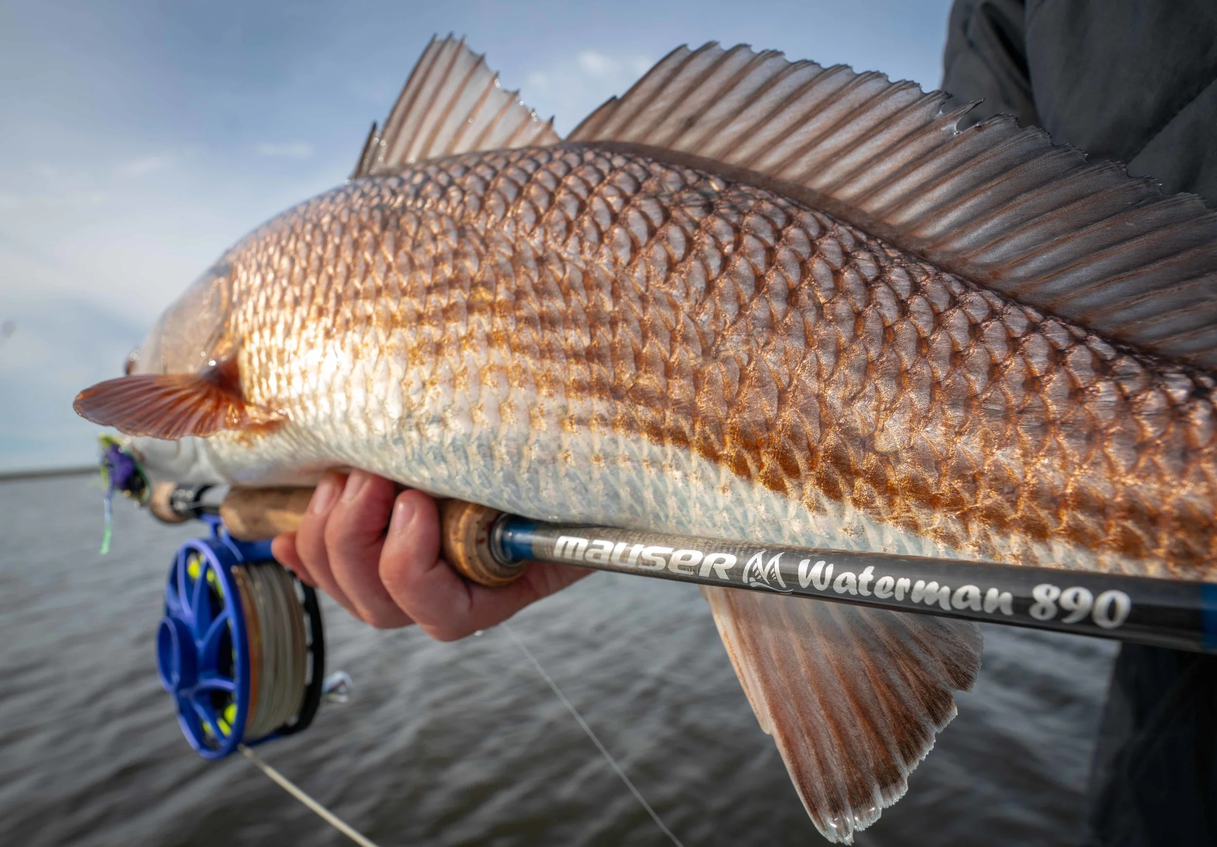 12/12/18 Fishing Report