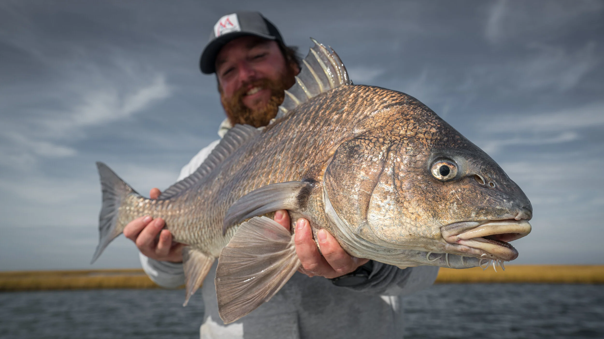 Louisiana: Round 2 - FIGHT!