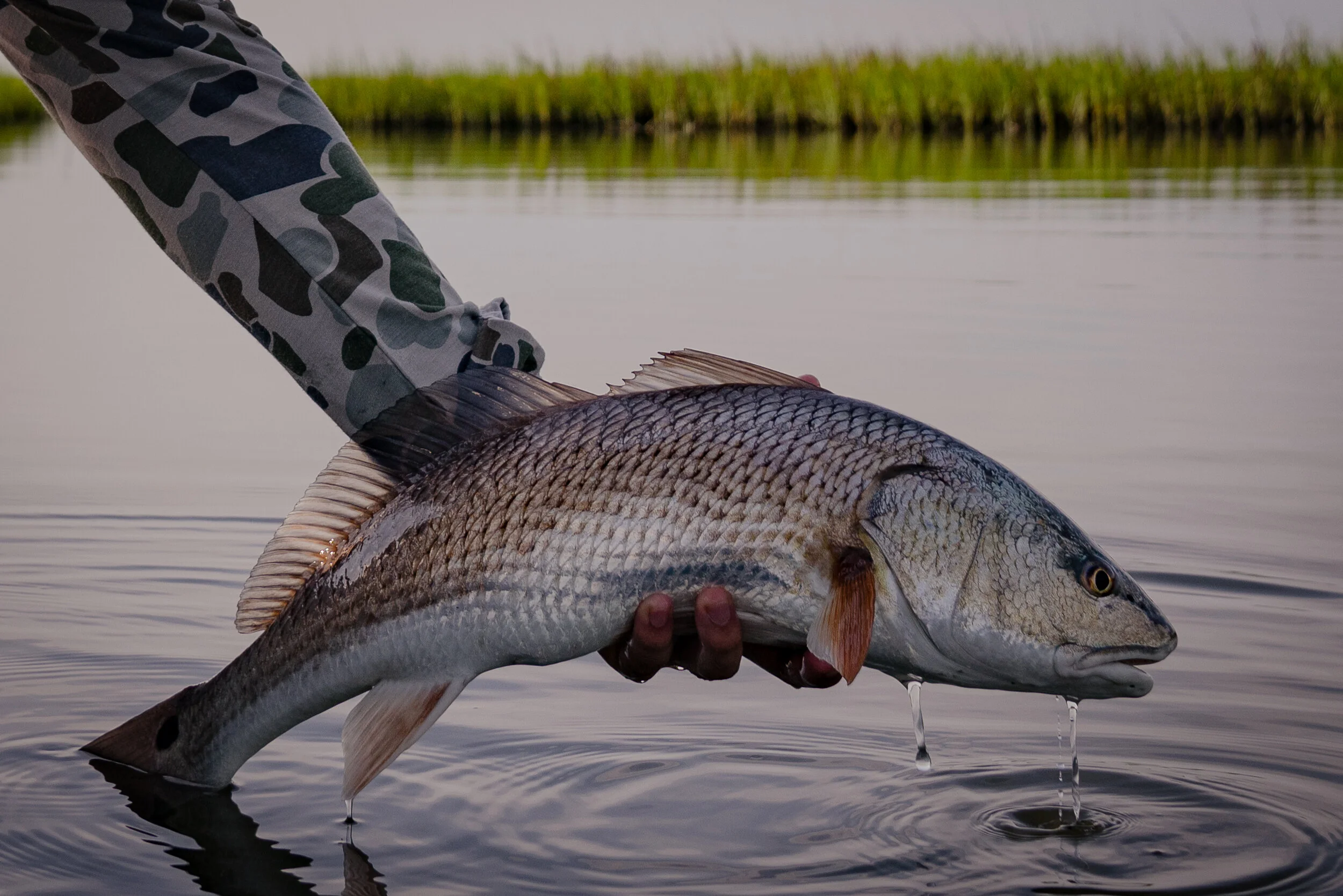 07/22/21 Fishing Report