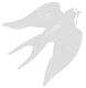 connect-17.png