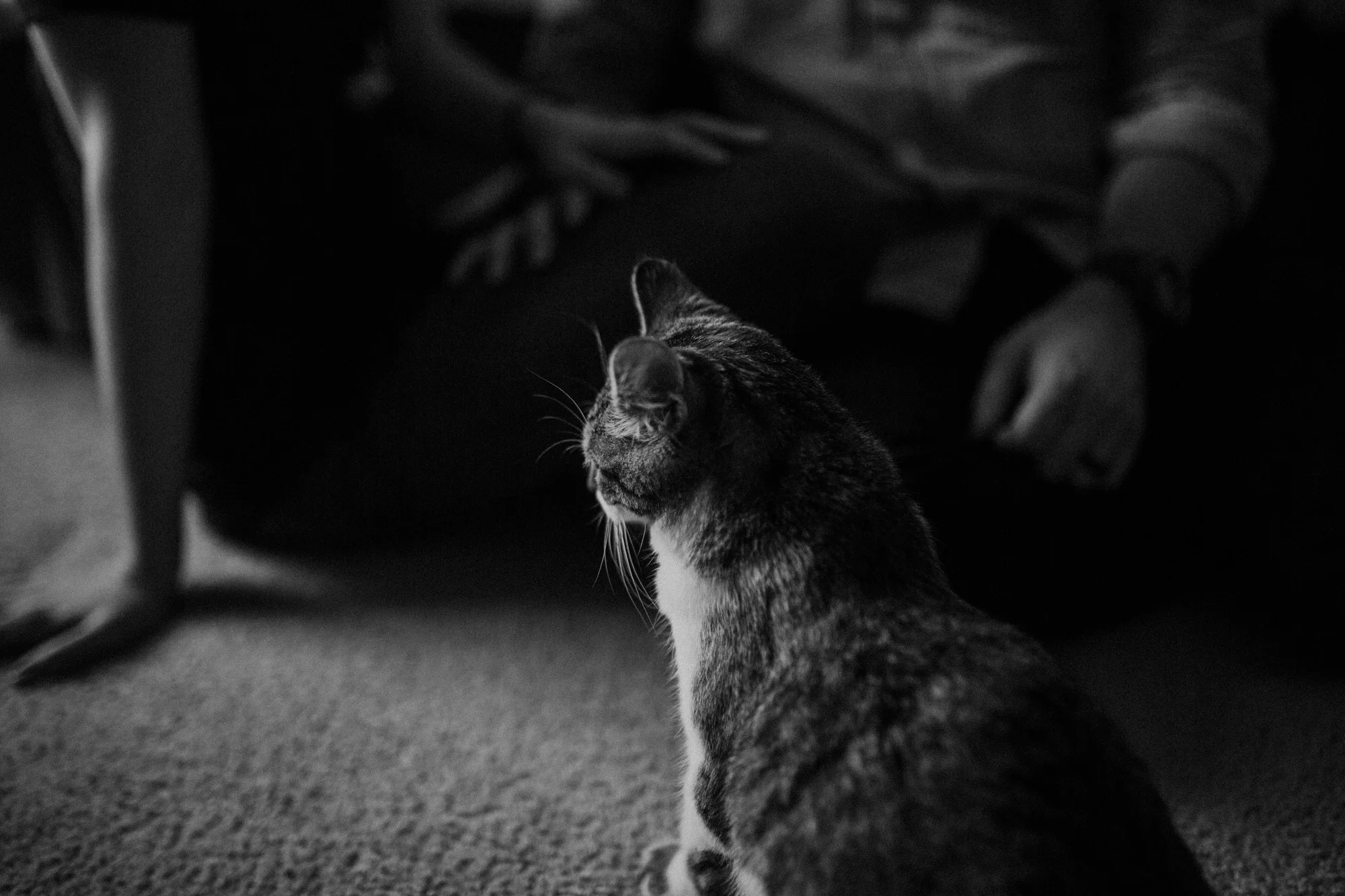 chicago_engagement_photography_0178.jpg