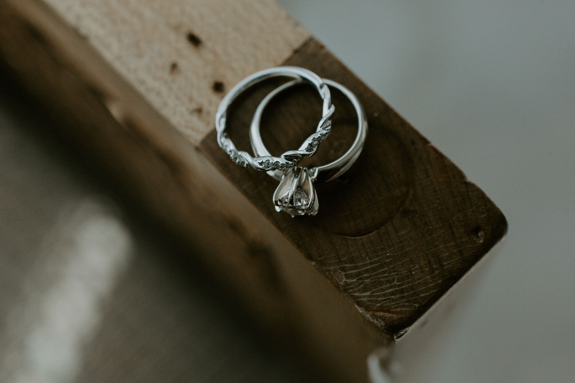 prairie_glass_house_wedding_champaign_wright_photographs_simon_0001.jpg