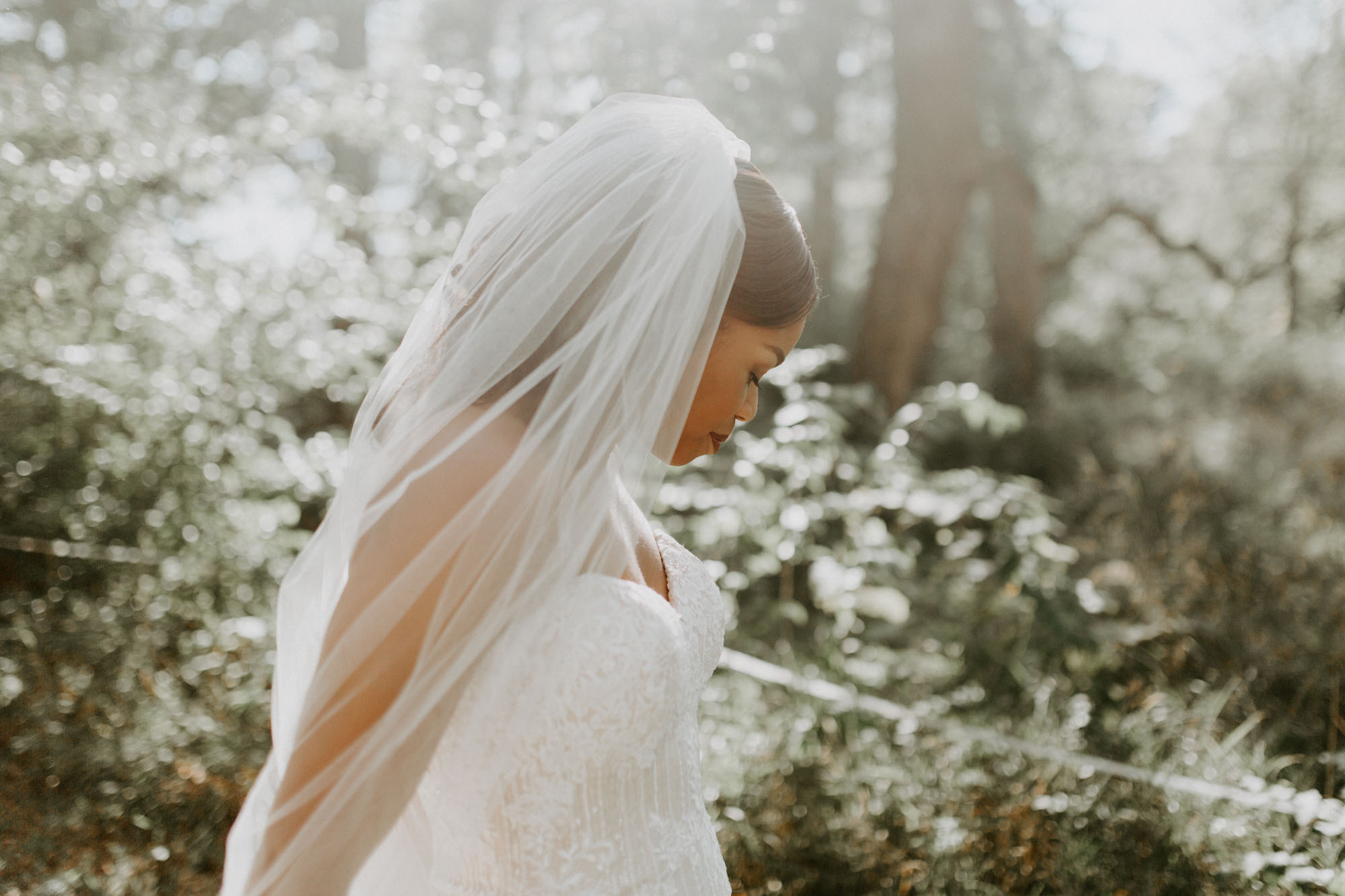 prairie_glass_house_wedding_champaign_wright_photographs_simon_0055.jpg