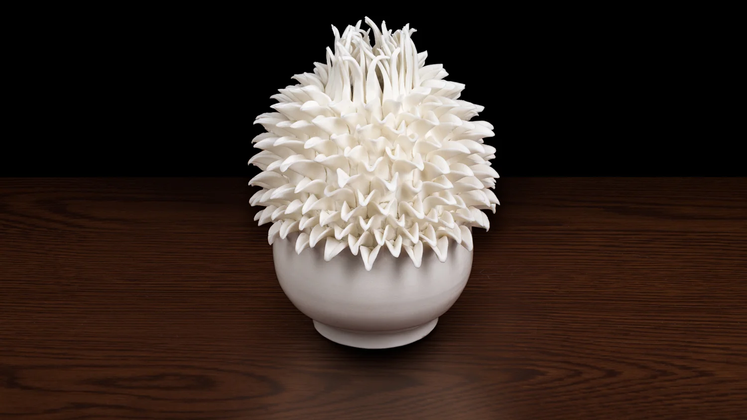 Sea Anemone