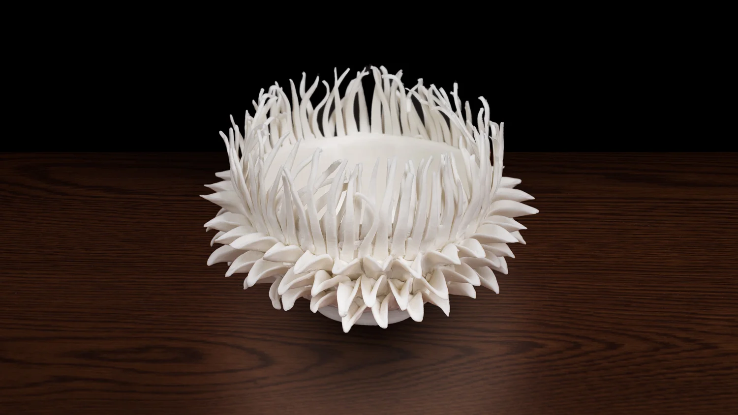 Open Sea Anemone