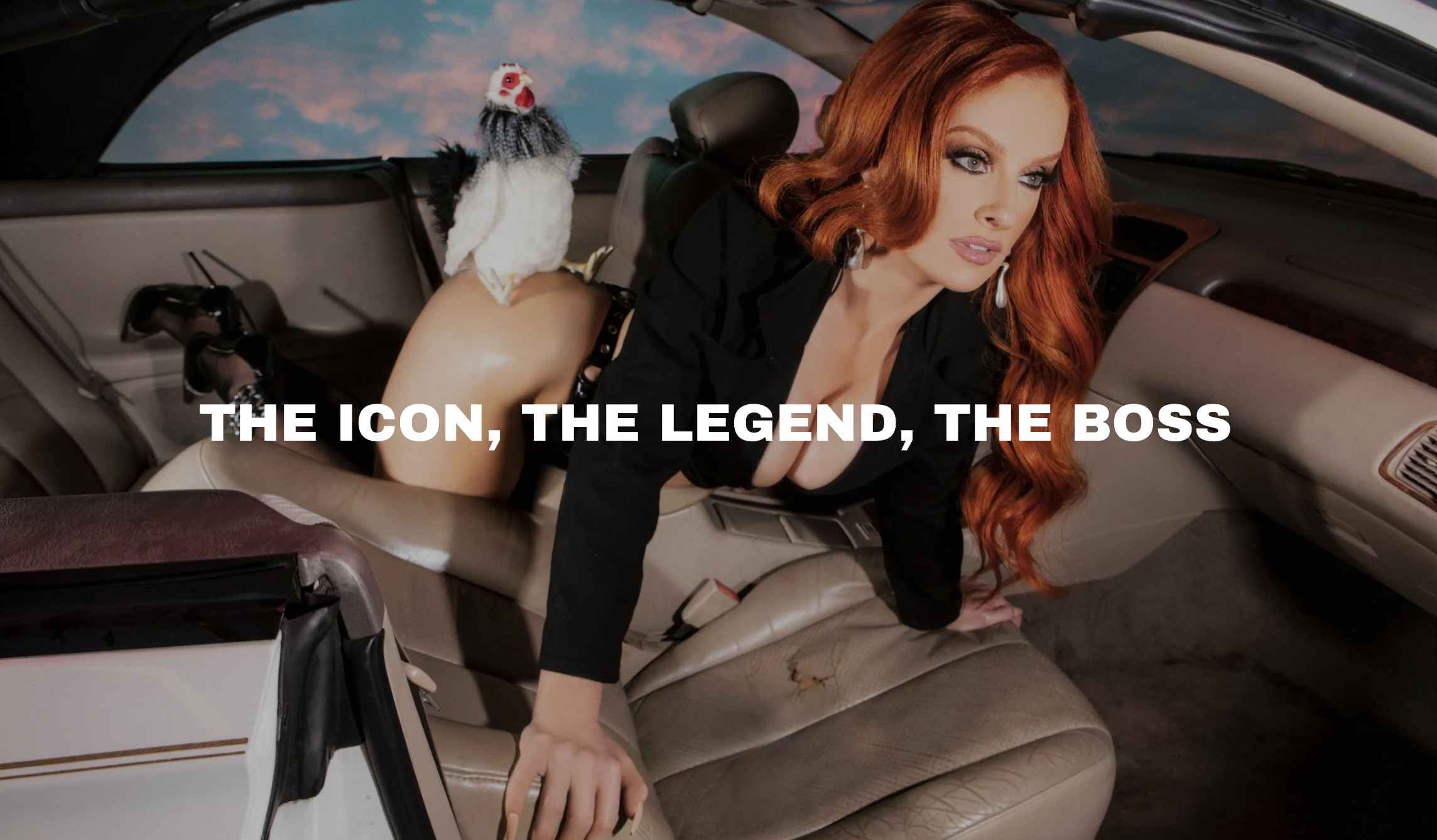 “She’s Barbra Streisand meets Lonely Island.” -Rolling Stone   “Wh﻿o?” -Better Homes & Gardens