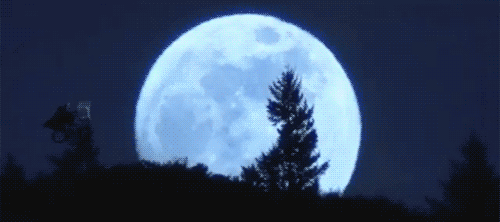 et.gif