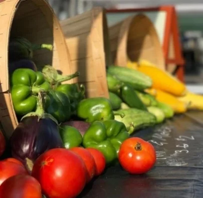 Community Supported agriculture Are you familiar with CSA? Basically it is a share of the harvest at Pond River Farm. Buying a “farm share” is sort of like buying a magazine subscription where a member pays up-front and then comes to the farm each week to pick up their share of the farm’s harvest. Click for more