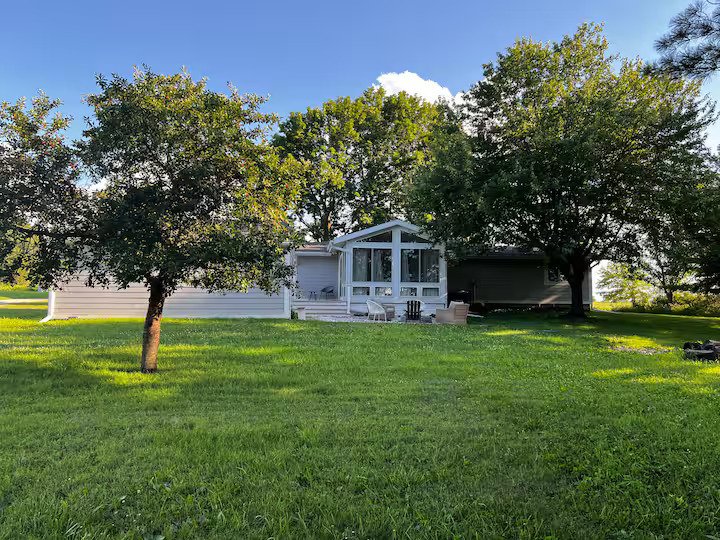 Yard.jpg