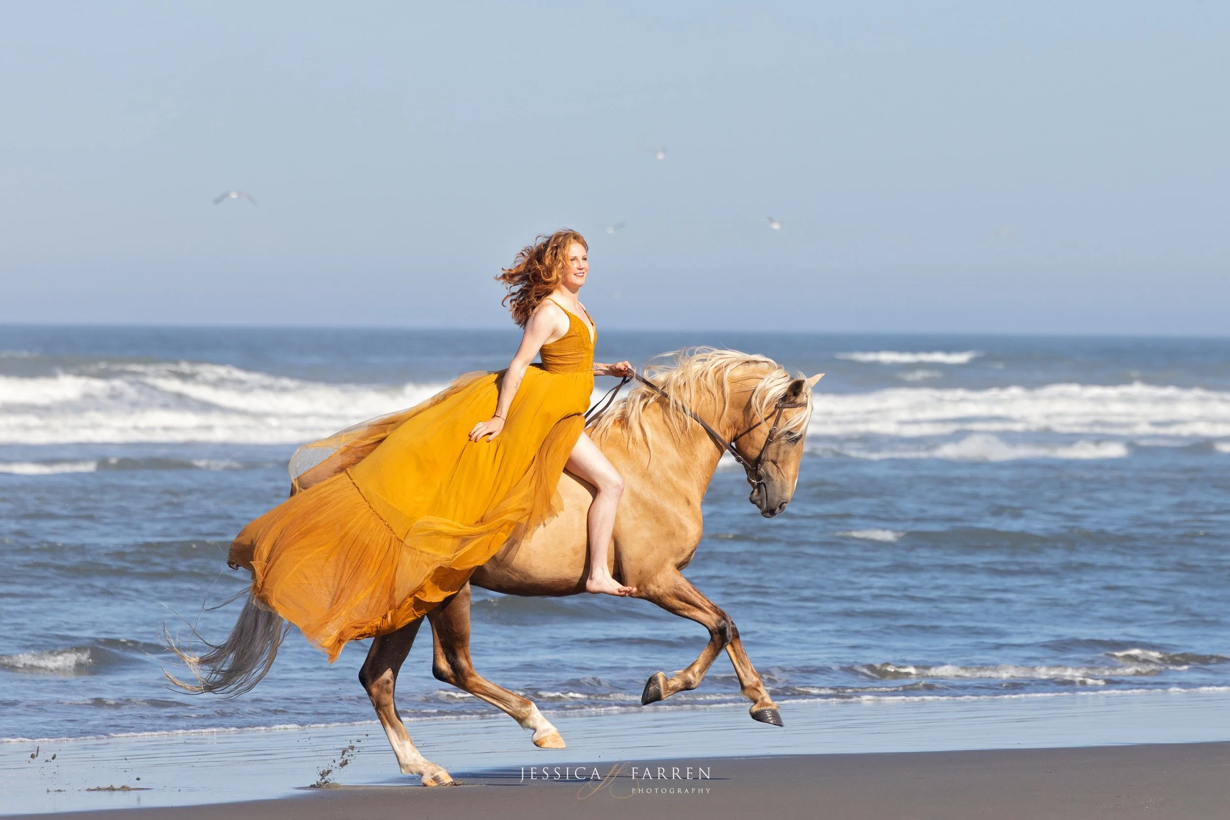grayland-beach-horse-photography-yellow-dress.jpg