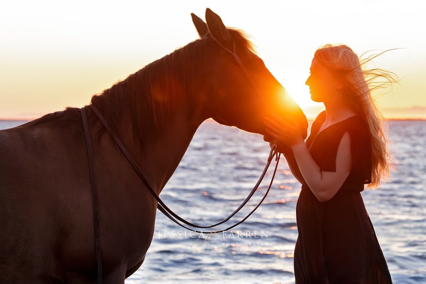 You can&rsquo;t beat some sunset magic at the beach. Such a sweet moment between @libby.swanberg and her mare. 

.
.
.
#equinephotography #equinephotographer #equestrianphotographer #sunsetsessions #horsesonthebeach #quarterhorses #canonr5 #seniorses