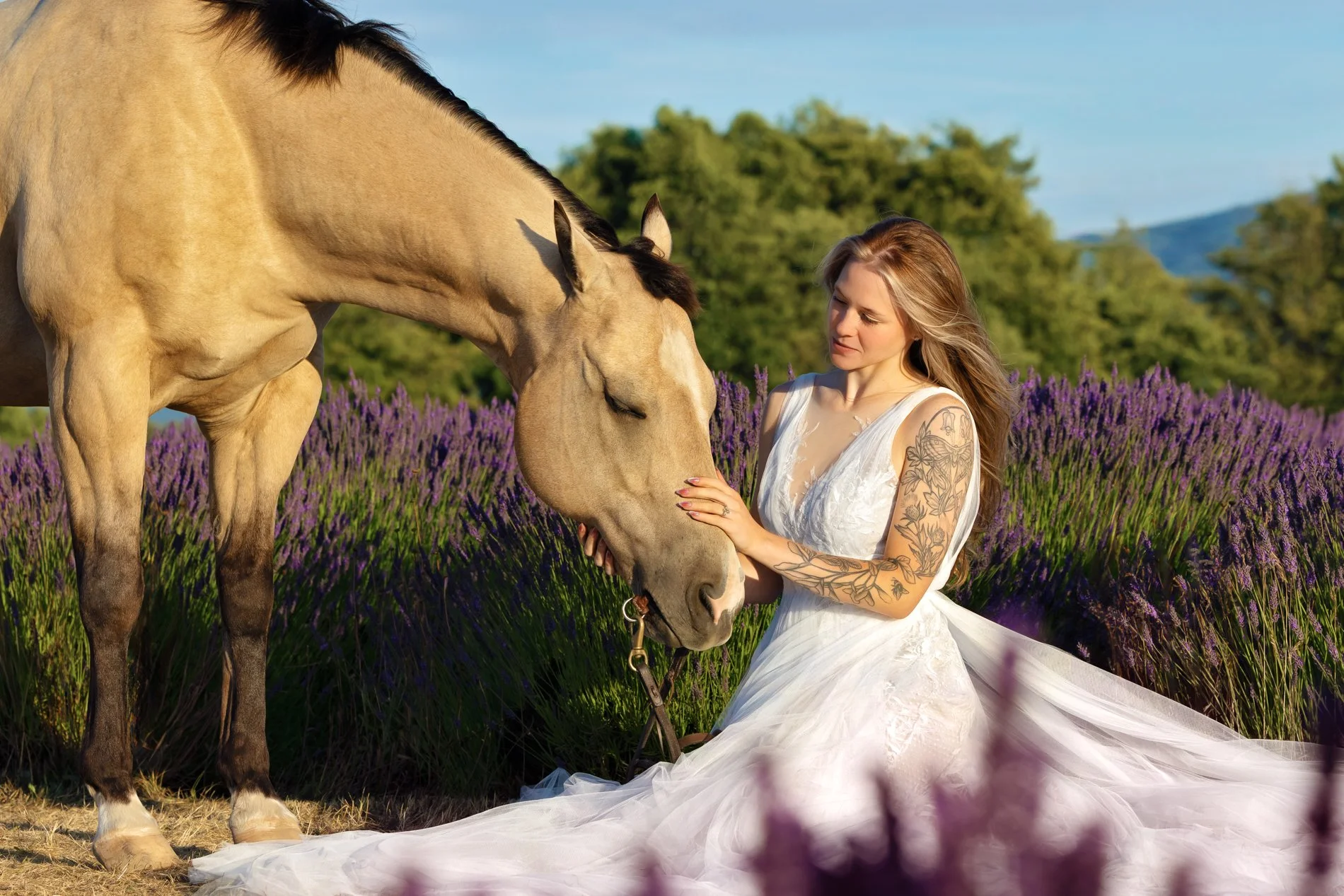 On Horses, Summer Evenings, and the Magic of Lavender