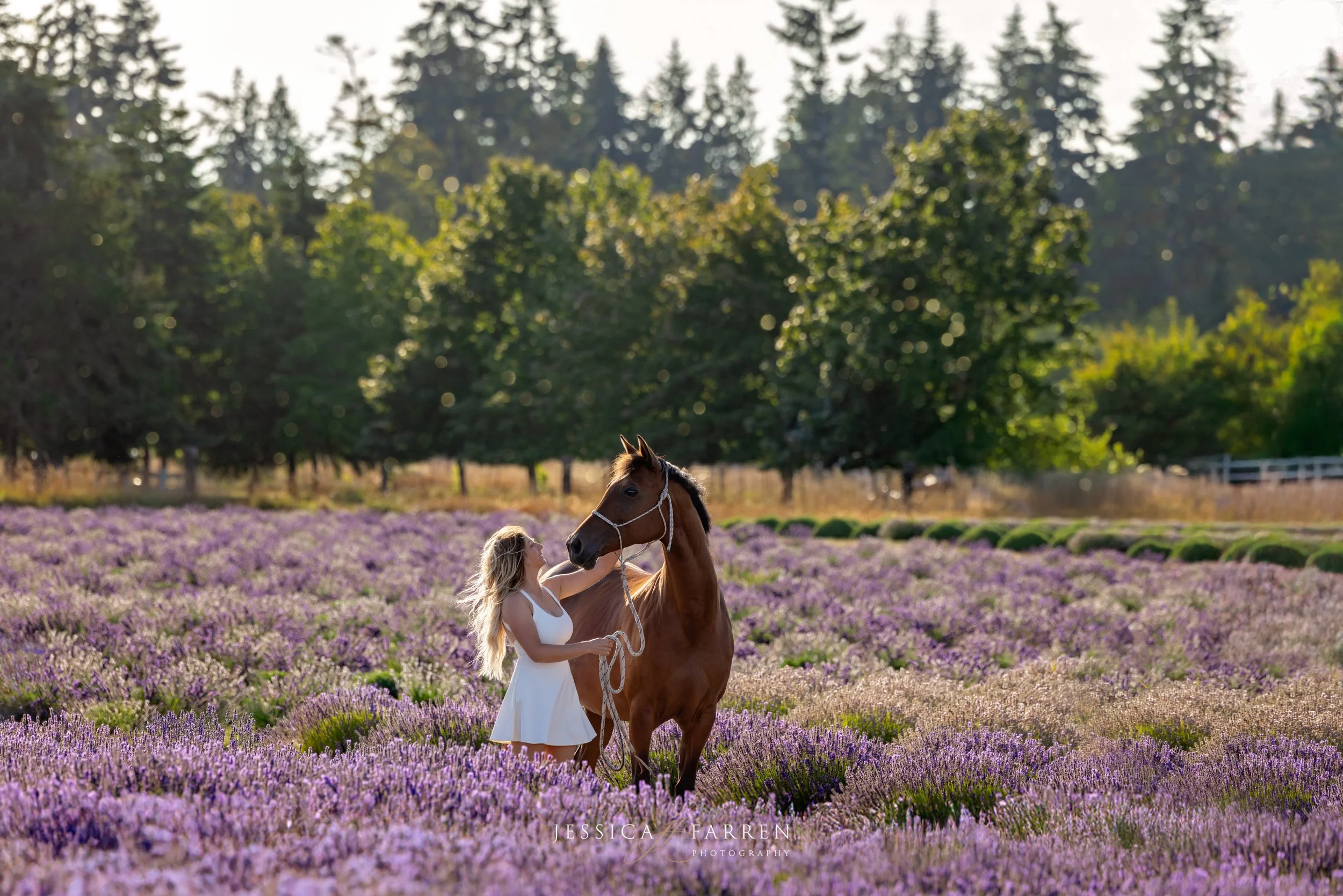 Shelby Lavender Web Sized-6.jpg