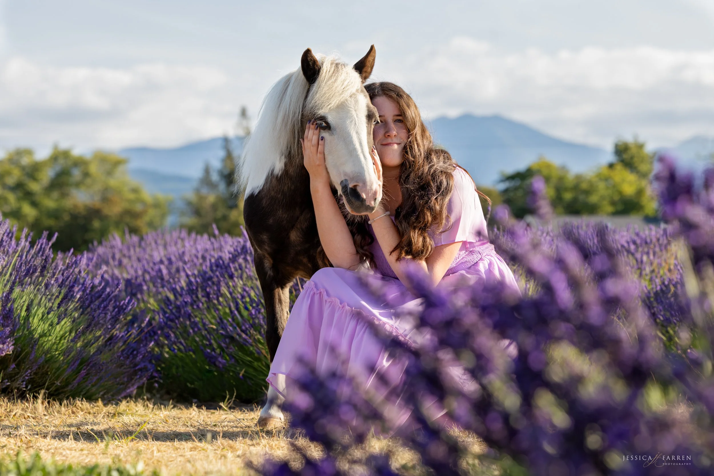 Ava Web Resolution-5.jpg