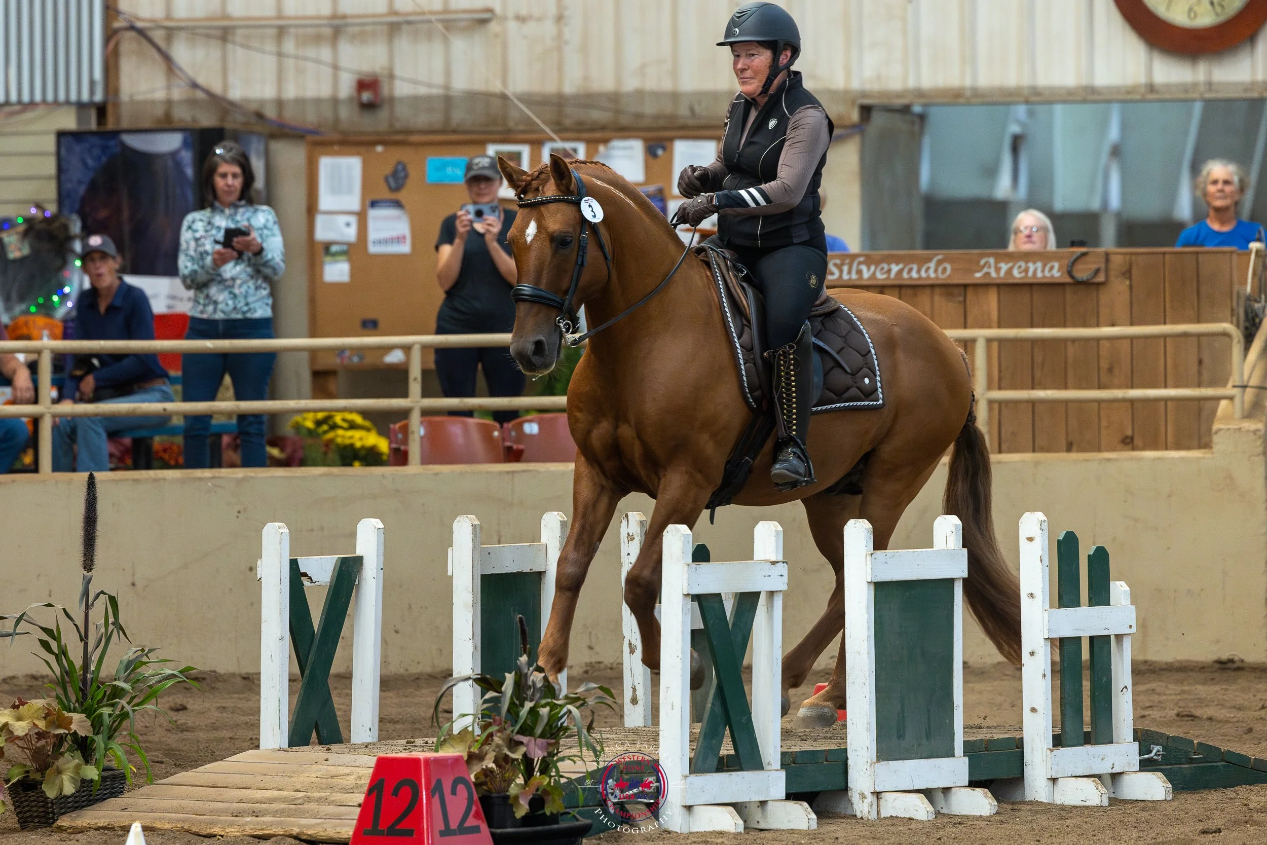 On Working Equitation, New Roads, and a Rider to Spain
