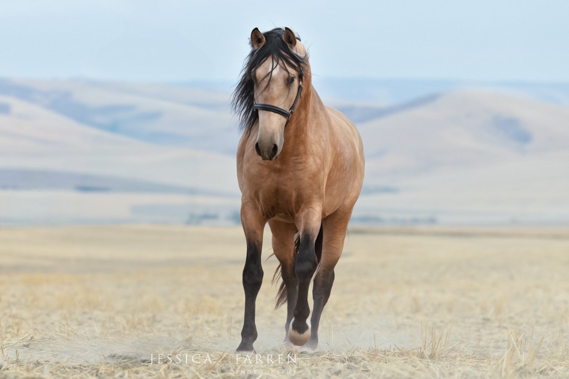 On Workshops, Wild Ideas, and New Traditions