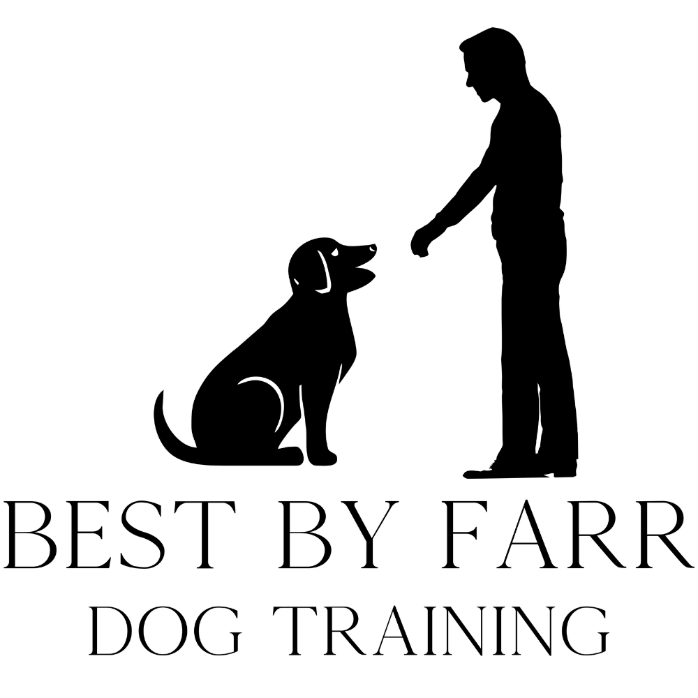 Dog Training Services in Raleigh & Phoenix Best By Farr