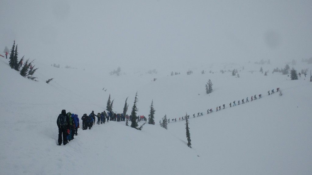 snowshoe3.jpg
