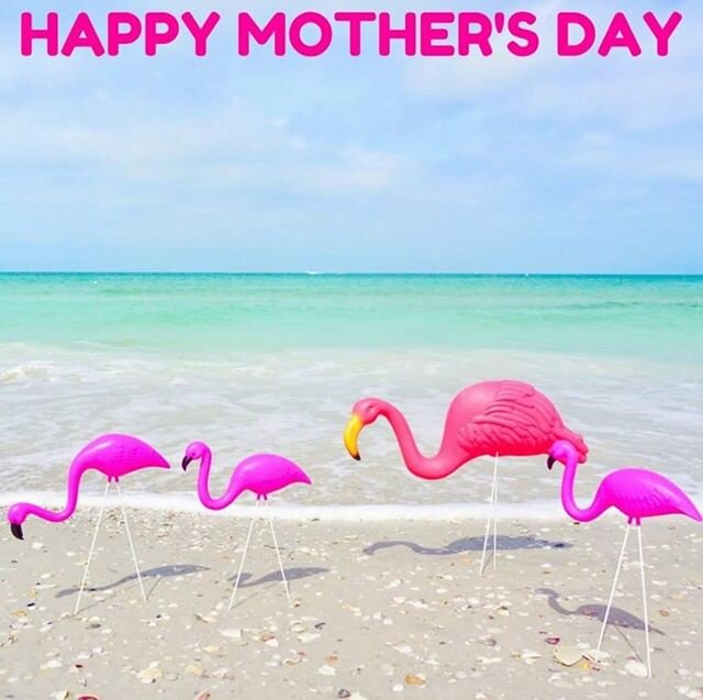 May all of the amazing moms, stepmoms, grandmas, and fur-baby moms  be showered with extra special love and joy today!

Happy Mother's Day from all of us at T2!