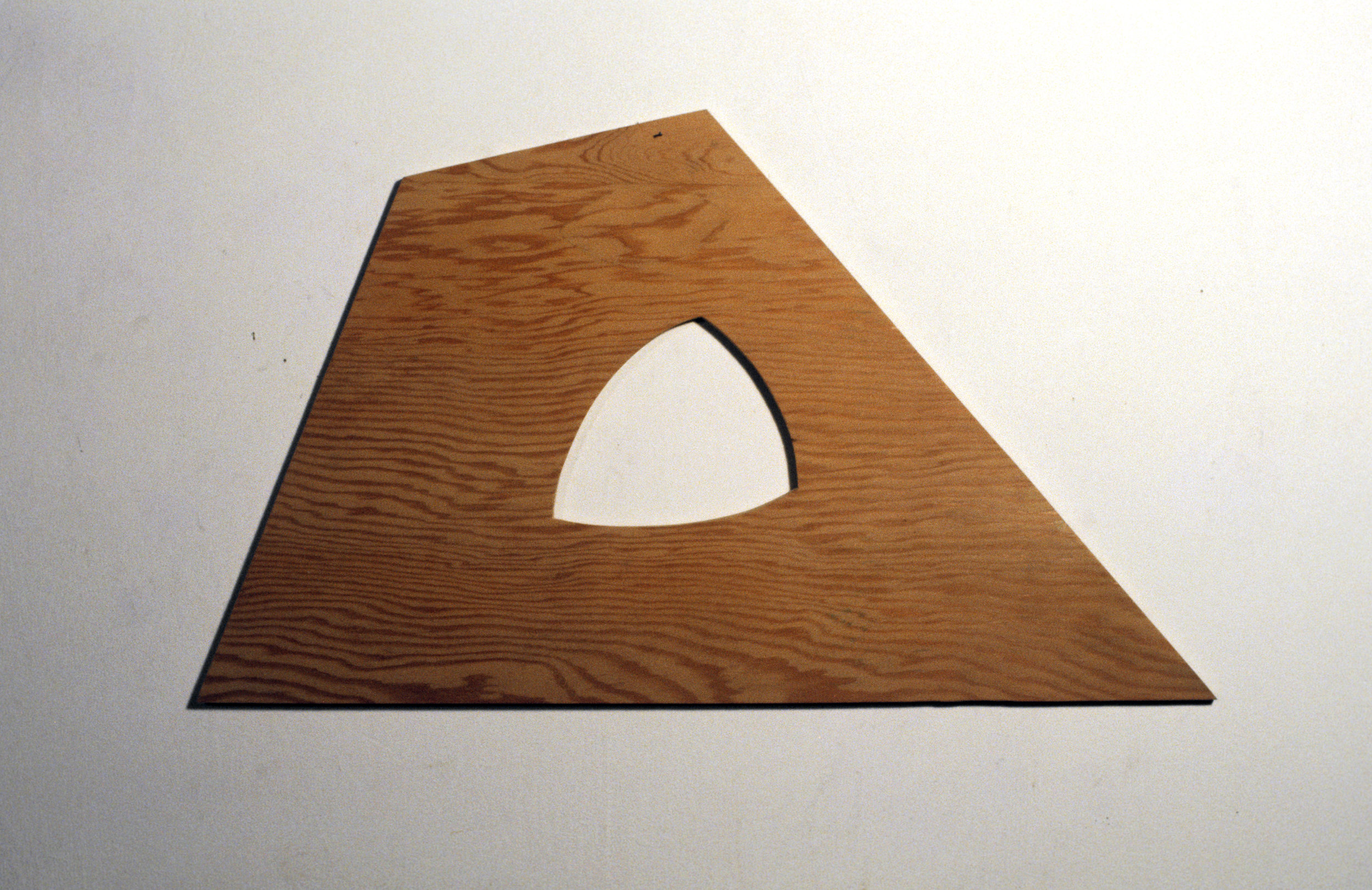 21d Two Shapes  12X18  wood.jpg