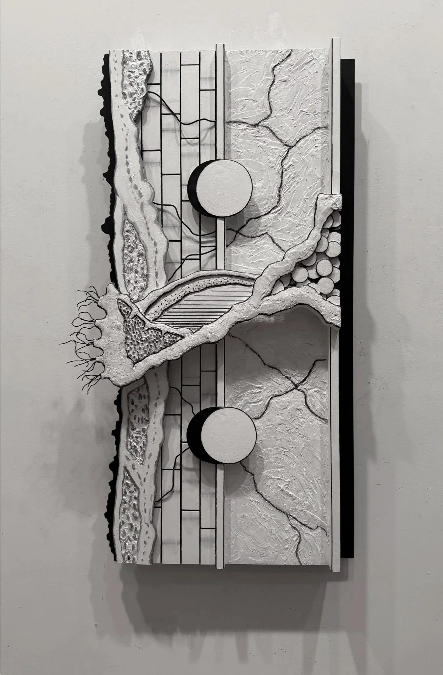 The Root (Copy) (Copy)