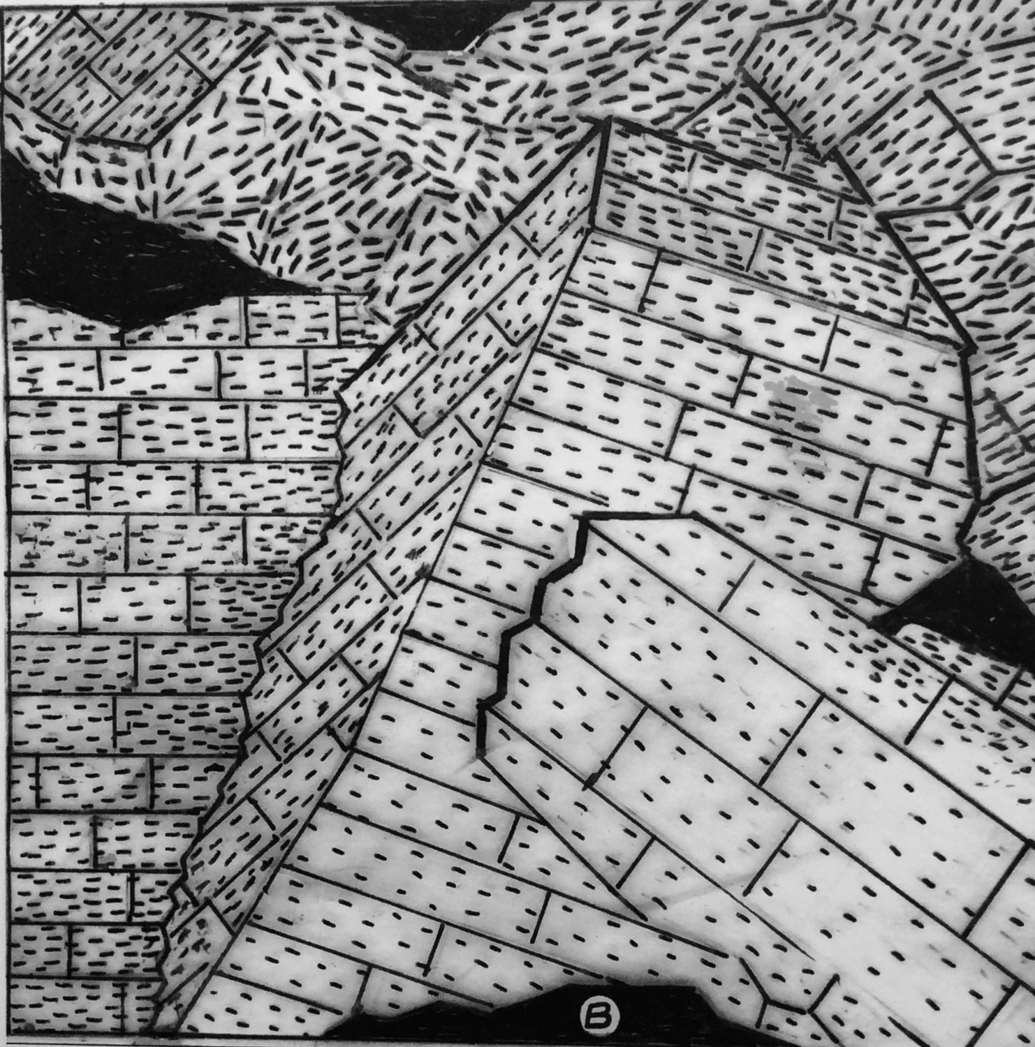 IMG_2211.jpg