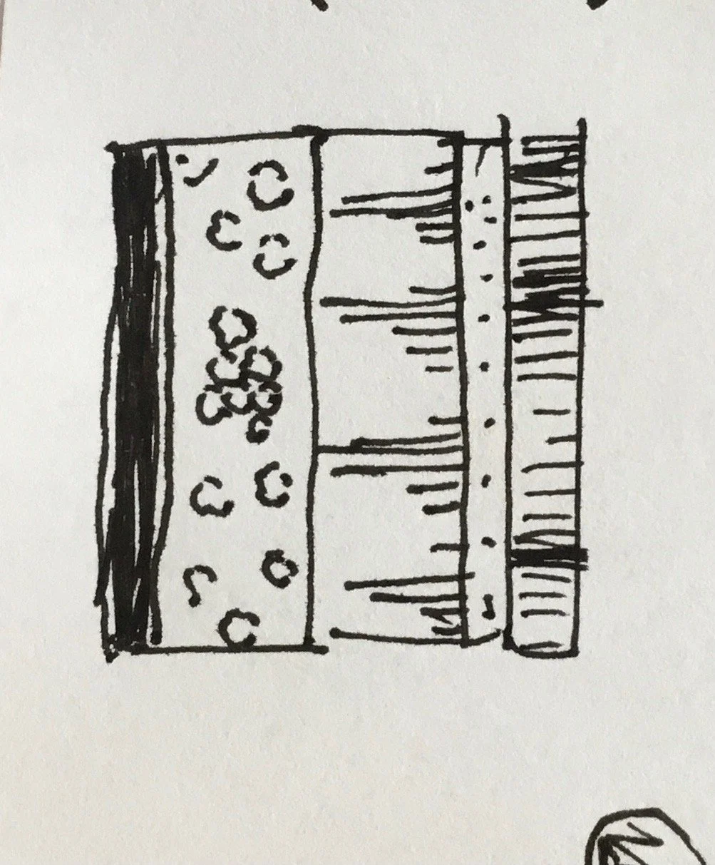 IMG_4507.jpeg